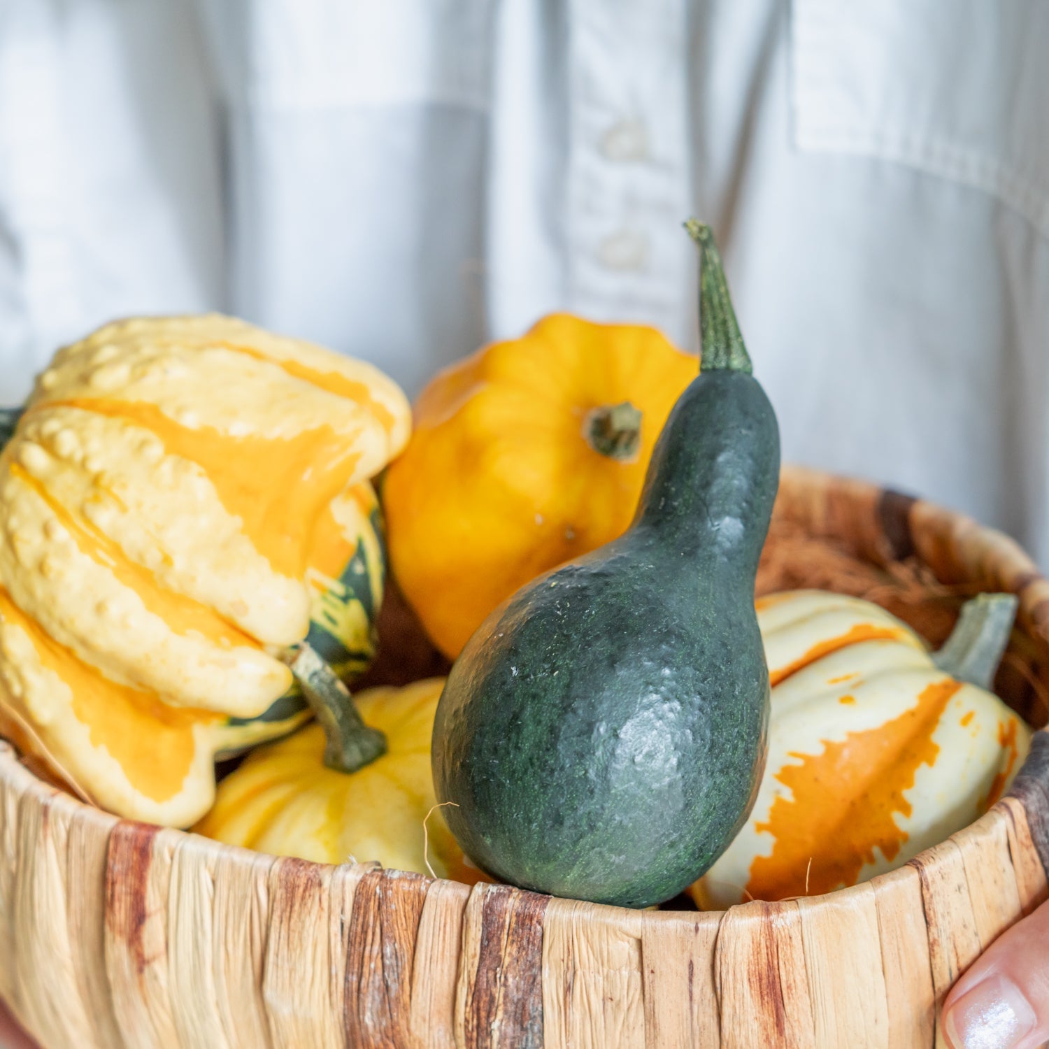 ハロウィンギフト2024をオーダーするならFlower&Plants tette │ 「手から手へ、想いを運ぶフラワーショップ」【板橋駅徒歩4分】【熟練フローリスト夫婦が運営】【最短2営業日で発送】【24時間365日注文OK】【ギフトは3300円〜】フラワーギフトを手から手へ、想いを込めたブーケやアレンジメントで大切な人に感謝と愛情を。シーンや用途に合わせて選びやすい豊富な種