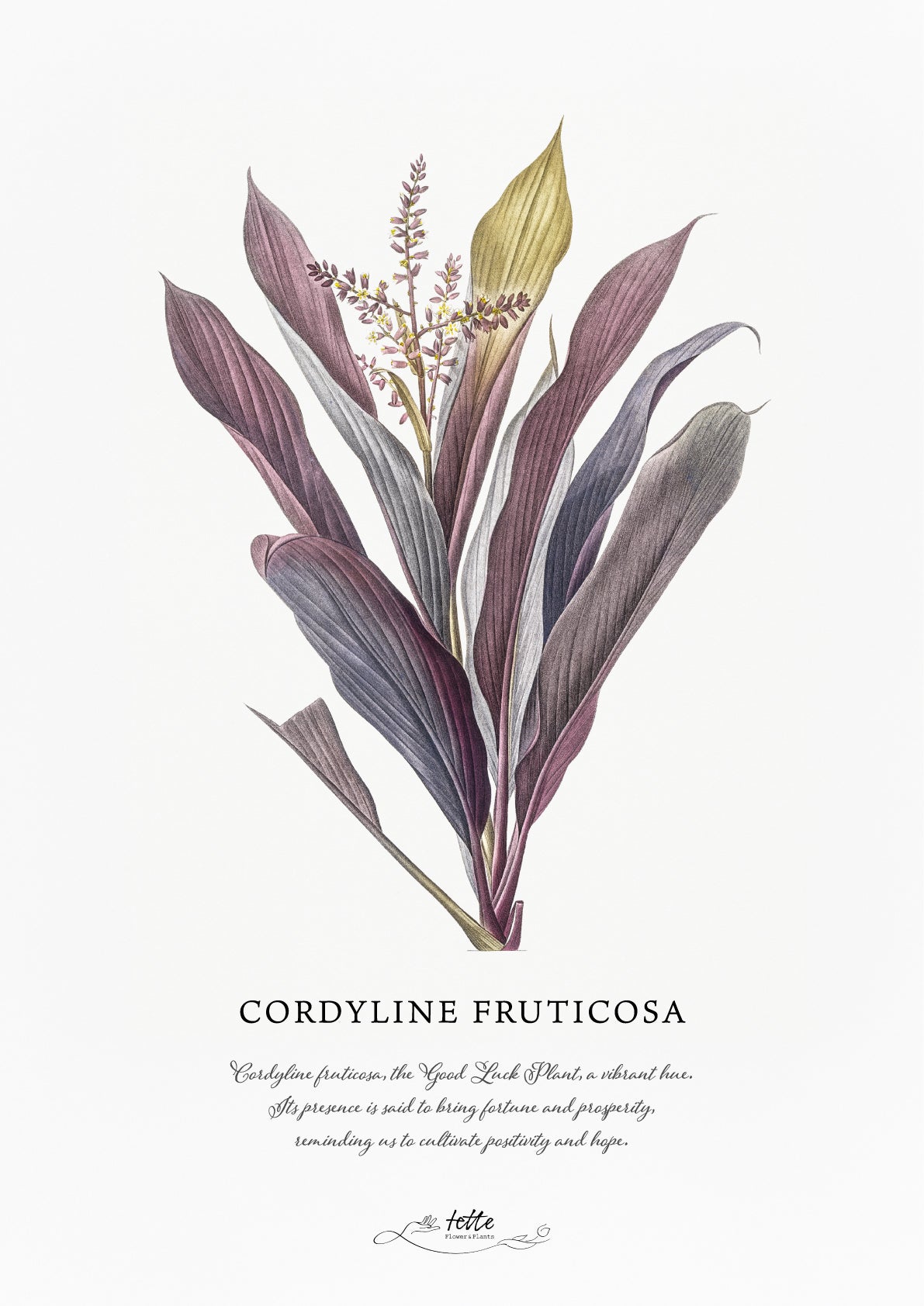 artgraph.コラボポスターをオーダーするならFlower&Plants tette │ 「手から手へ、想いを運ぶフラワーショップ」【板橋駅徒歩4分】【熟練フローリスト夫婦が運営】【最短2営業日で発送】【24時間365日注文OK】【ギフトは3300円〜】フラワーギフトを手から手へ、想いを込めたブーケやアレンジメントで大切な人に感謝と愛情を。シーンや用途に合わせて選びやすい豊富な種