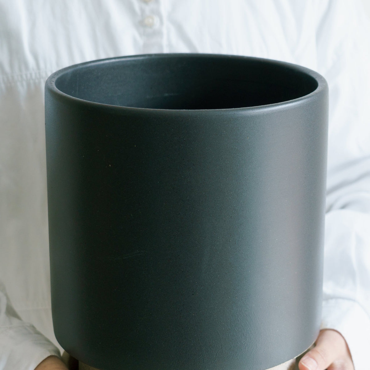 パラドックトールをオーダーするならFlower&Plants tette │ 「手から手へ、想いを運ぶフラワーショップ」【板橋駅徒歩4分】【熟練フローリスト夫婦が運営】【最短2営業日で発送】【24時間365日注文OK】【ギフトは3300円〜】フラワーギフトを手から手へ、想いを込めたブーケやアレンジメントで大切な人に感謝と愛情を。シーンや用途に合わせて選びやすい豊富な種