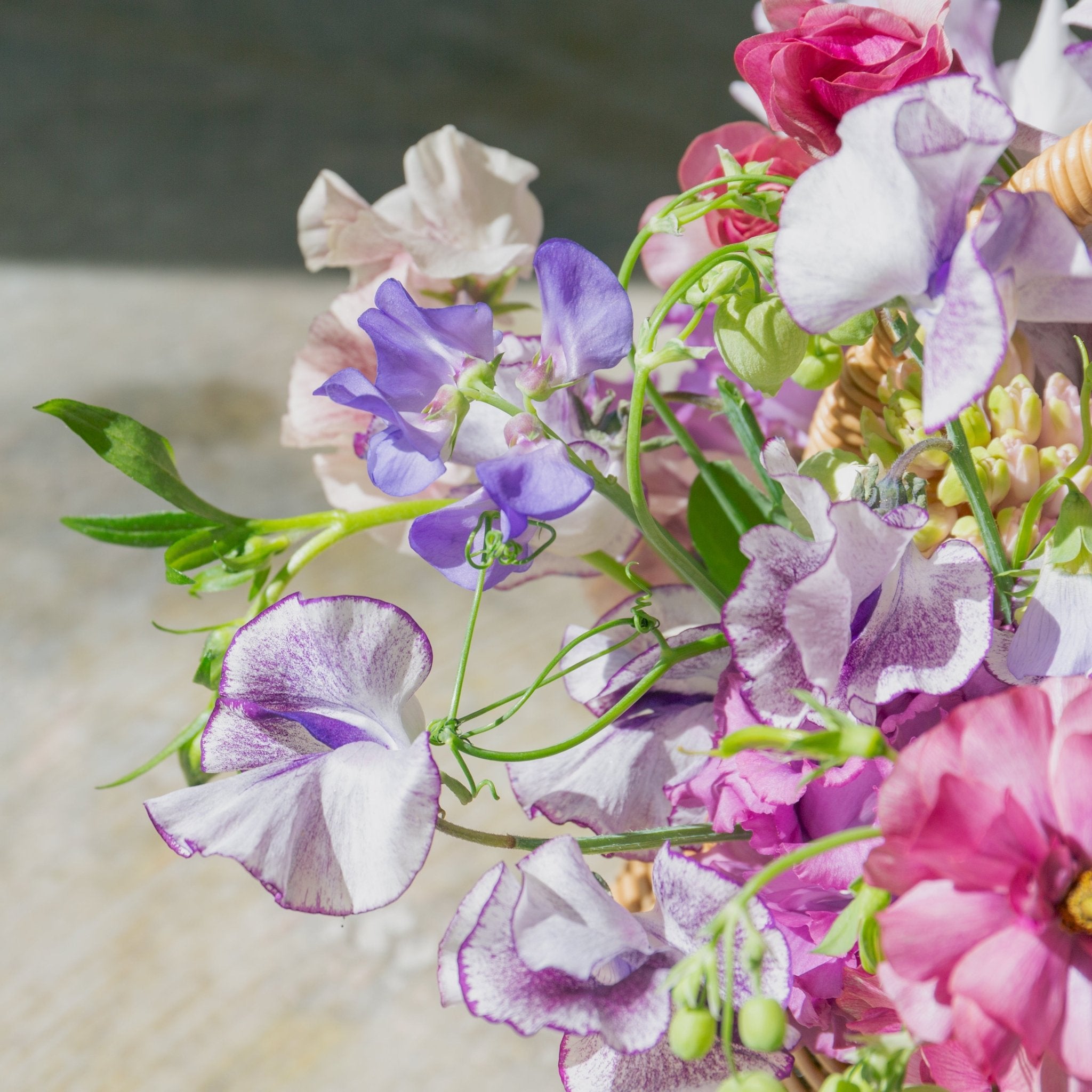 スイートピーのギフトをオーダーするならFlower&Plants tette │ 「手から手へ、想いを運ぶフラワーショップ」【板橋駅徒歩4分】【熟練フローリスト夫婦が運営】【最短2営業日で発送】【24時間365日注文OK】【ギフトは3300円〜】フラワーギフトを手から手へ、想いを込めたブーケやアレンジメントで大切な人に感謝と愛情を。シーンや用途に合わせて選びやすい豊富な種