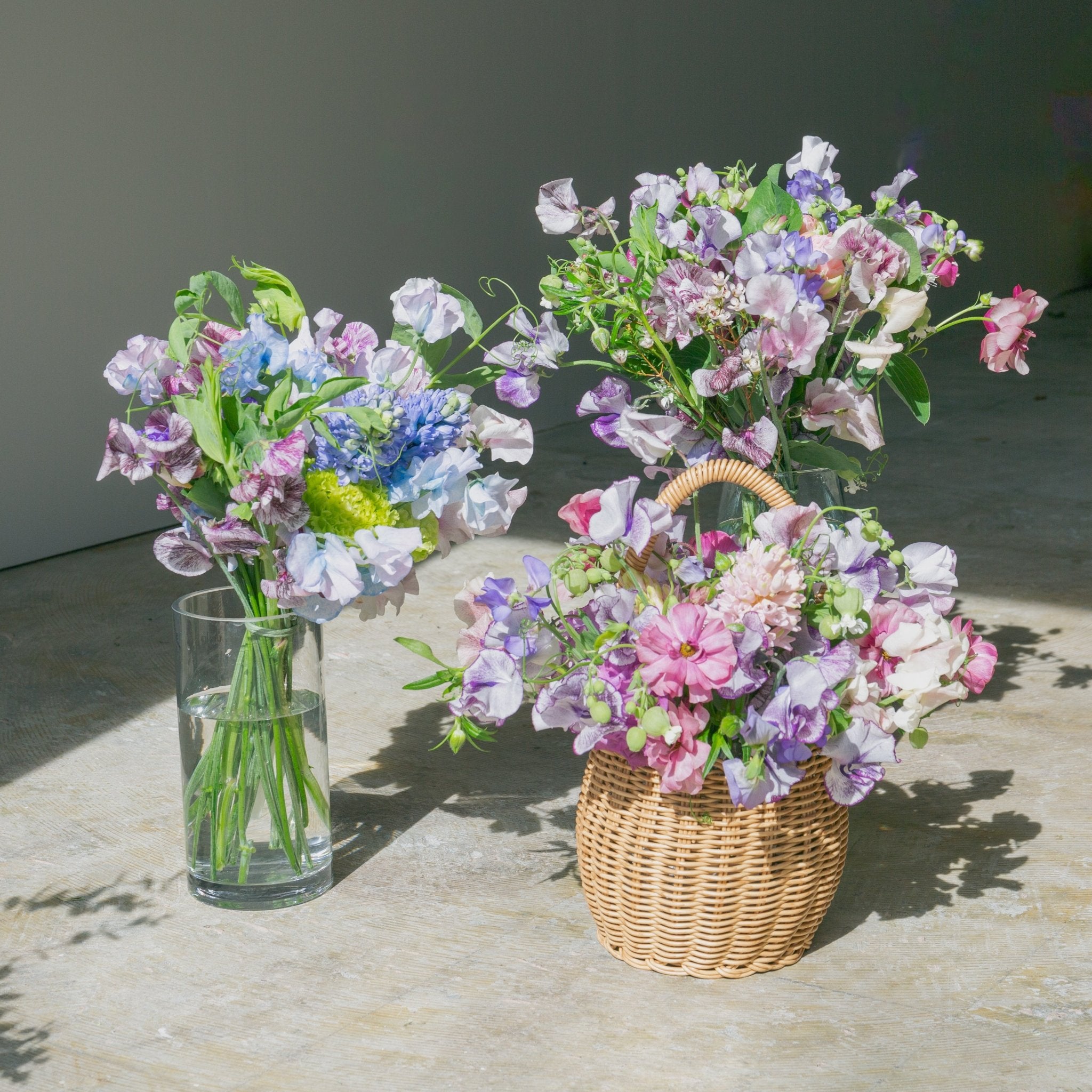 スイートピーのギフトをオーダーするならFlower&Plants tette │ 「手から手へ、想いを運ぶフラワーショップ」【板橋駅徒歩4分】【熟練フローリスト夫婦が運営】【最短2営業日で発送】【24時間365日注文OK】【ギフトは3300円〜】フラワーギフトを手から手へ、想いを込めたブーケやアレンジメントで大切な人に感謝と愛情を。シーンや用途に合わせて選びやすい豊富な種