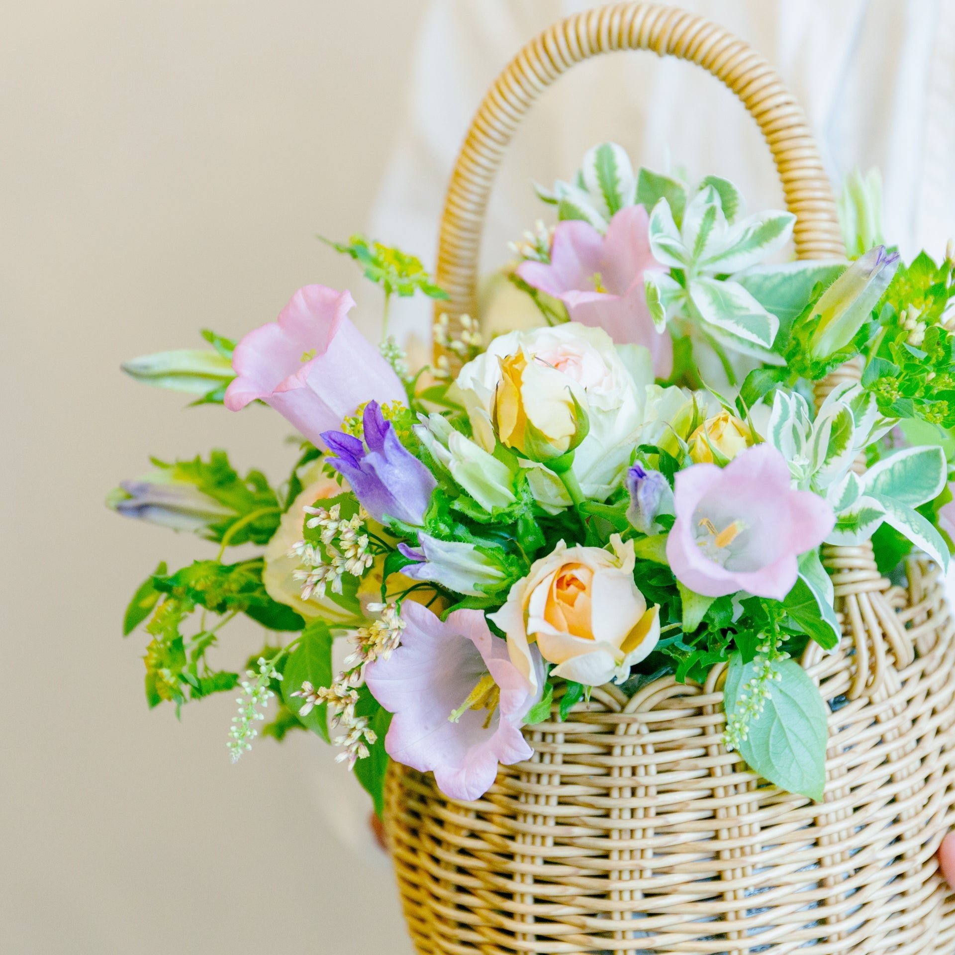 カンパニュラのギフトをオーダーするならFlower&Plants tette │ 「手から手へ、想いを運ぶフラワーショップ」【板橋駅徒歩4分】【熟練フローリスト夫婦が運営】【最短2営業日で発送】【24時間365日注文OK】【ギフトは3300円〜】フラワーギフトを手から手へ、想いを込めたブーケやアレンジメントで大切な人に感謝と愛情を。シーンや用途に合わせて選びやすい豊富な種