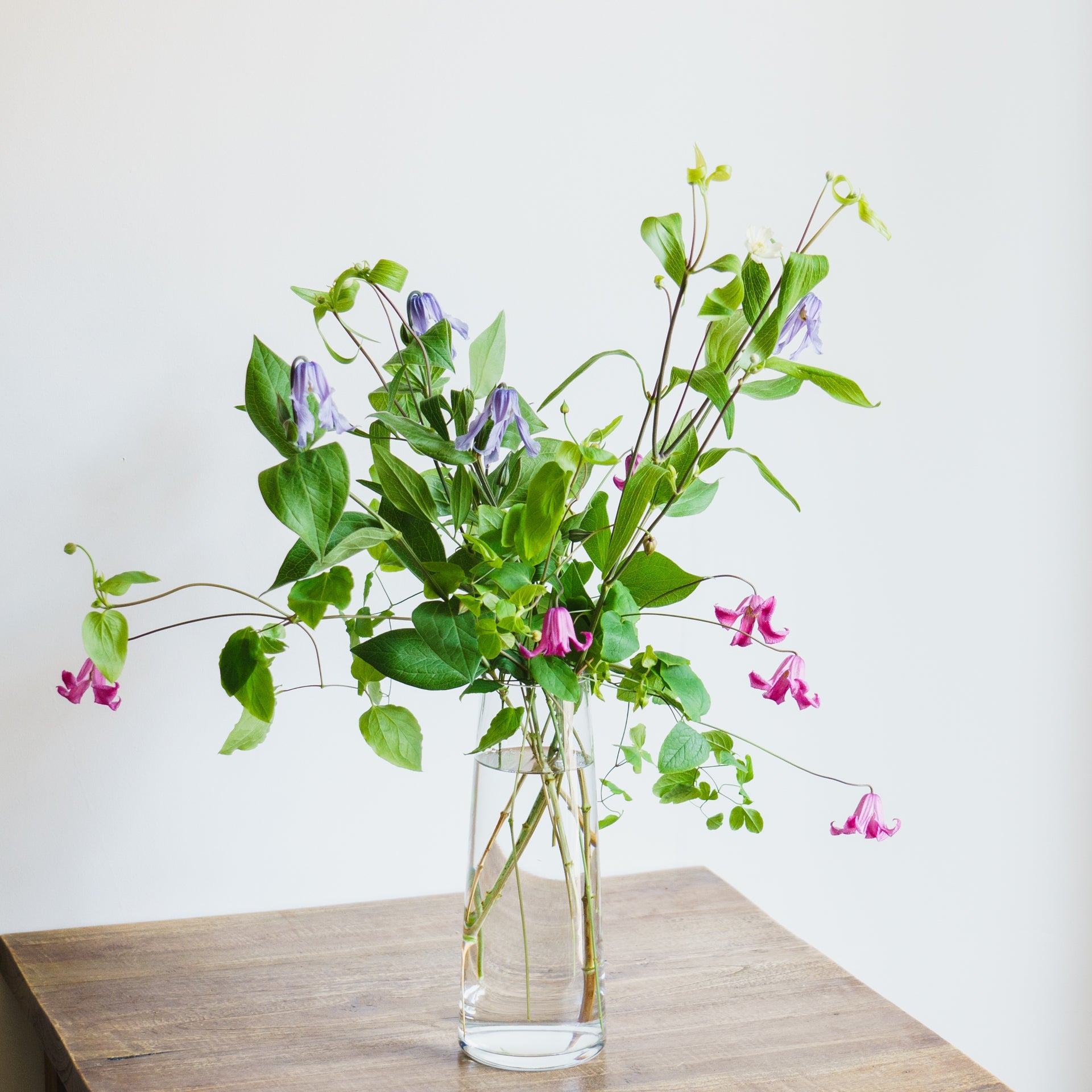 クレマチスのギフトをオーダーするならFlower&Plants tette │ 「手から手へ、想いを運ぶフラワーショップ」【板橋駅徒歩4分】【熟練フローリスト夫婦が運営】【最短2営業日で発送】【24時間365日注文OK】【ギフトは3300円〜】フラワーギフトを手から手へ、想いを込めたブーケやアレンジメントで大切な人に感謝と愛情を。シーンや用途に合わせて選びやすい豊富な種