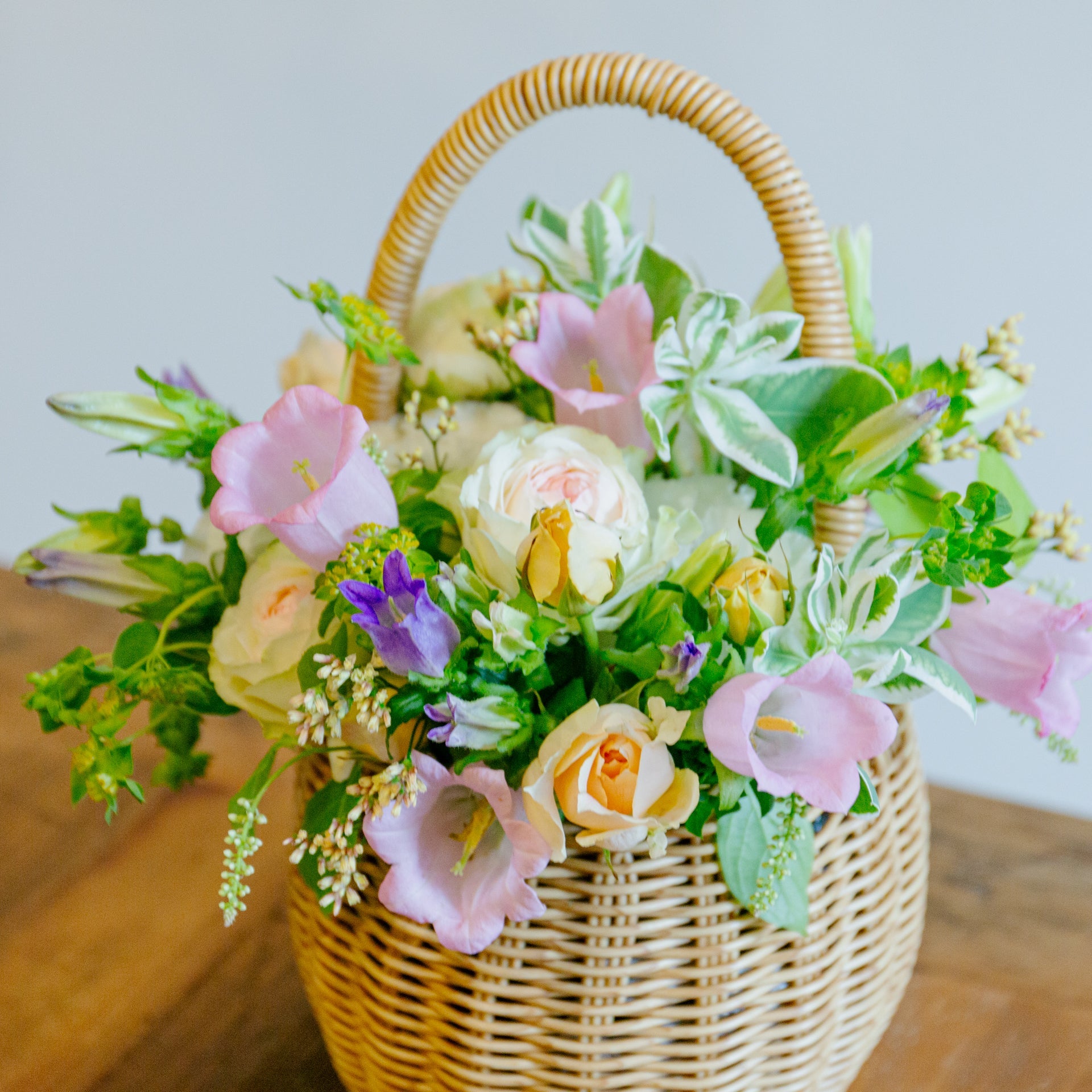 カンパニュラのギフトをオーダーするならFlower&Plants tette │ 「手から手へ、想いを運ぶフラワーショップ」【板橋駅徒歩4分】【熟練フローリスト夫婦が運営】【最短2営業日で発送】【24時間365日注文OK】【ギフトは3300円〜】フラワーギフトを手から手へ、想いを込めたブーケやアレンジメントで大切な人に感謝と愛情を。シーンや用途に合わせて選びやすい豊富な種