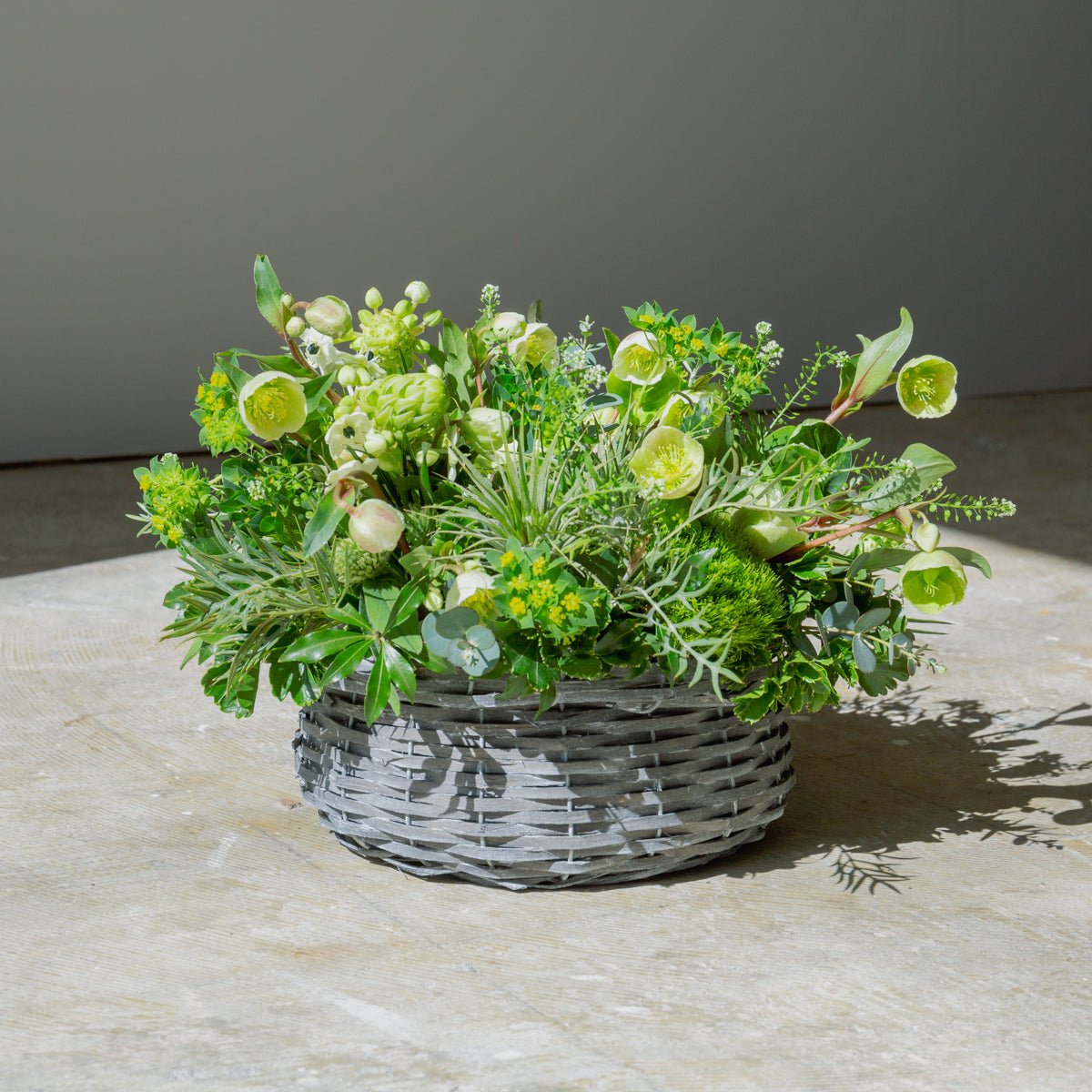 クリスマスローズのギフトをオーダーするならFlower&Plants tette │ 「手から手へ、想いを運ぶフラワーショップ」【板橋駅徒歩4分】【熟練フローリスト夫婦が運営】【最短2営業日で発送】【24時間365日注文OK】【ギフトは3300円〜】フラワーギフトを手から手へ、想いを込めたブーケやアレンジメントで大切な人に感謝と愛情を。シーンや用途に合わせて選びやすい豊富な種