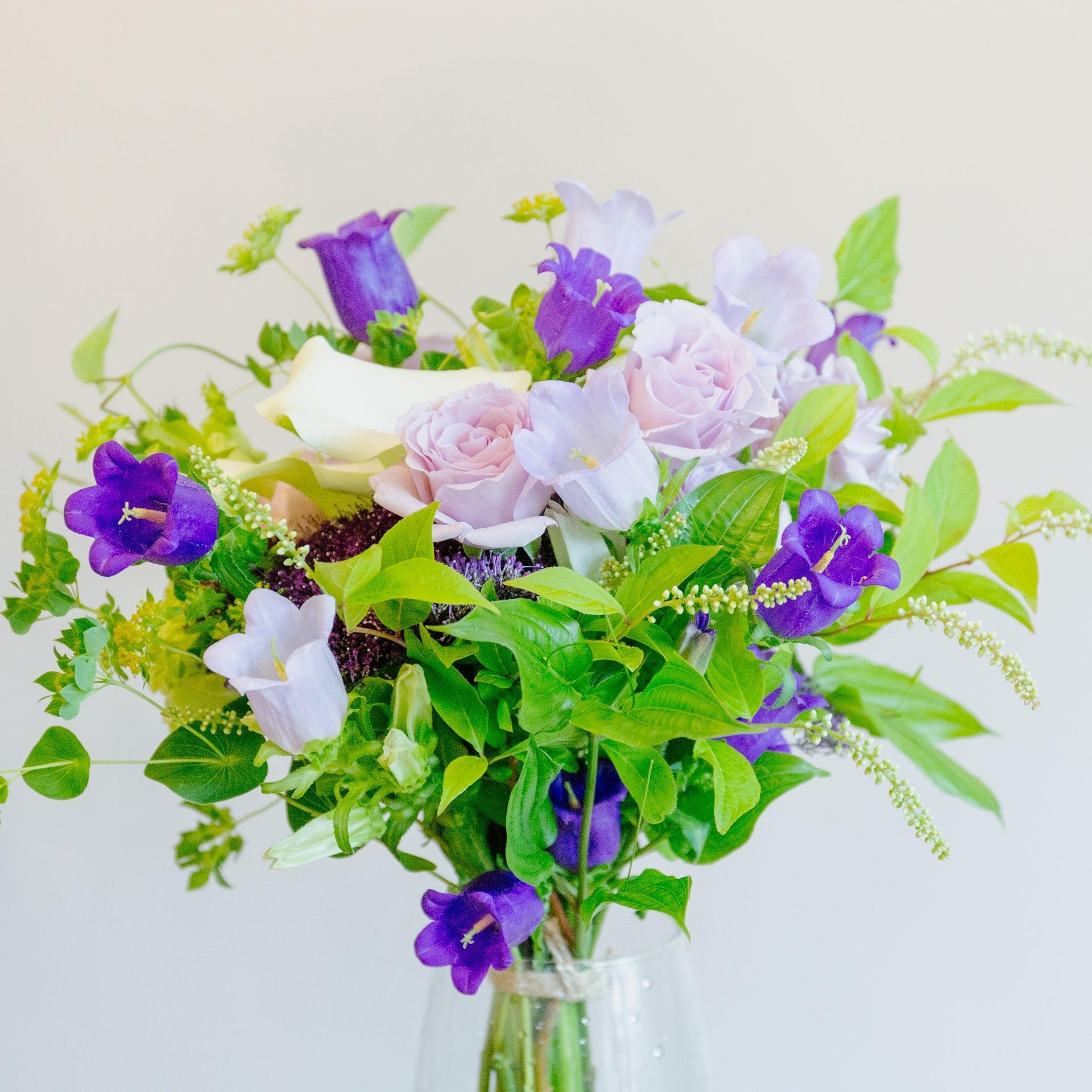 カンパニュラのギフトをオーダーするならFlower&Plants tette │ 「手から手へ、想いを運ぶフラワーショップ」【板橋駅徒歩4分】【熟練フローリスト夫婦が運営】【最短2営業日で発送】【24時間365日注文OK】【ギフトは3300円〜】フラワーギフトを手から手へ、想いを込めたブーケやアレンジメントで大切な人に感謝と愛情を。シーンや用途に合わせて選びやすい豊富な種