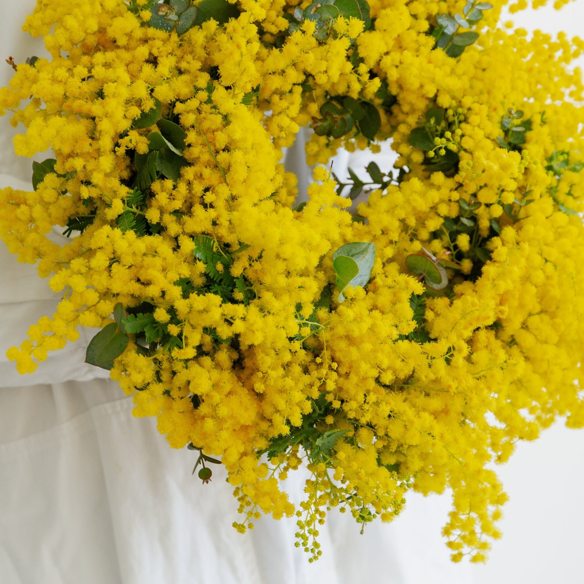 ミモザのギフトをオーダーするならFlower&Plants tette │ 「手から手へ、想いを運ぶフラワーショップ」【板橋駅徒歩4分】【熟練フローリスト夫婦が運営】【最短2営業日で発送】【24時間365日注文OK】【ギフトは3300円〜】フラワーギフトを手から手へ、想いを込めたブーケやアレンジメントで大切な人に感謝と愛情を。シーンや用途に合わせて選びやすい豊富な種