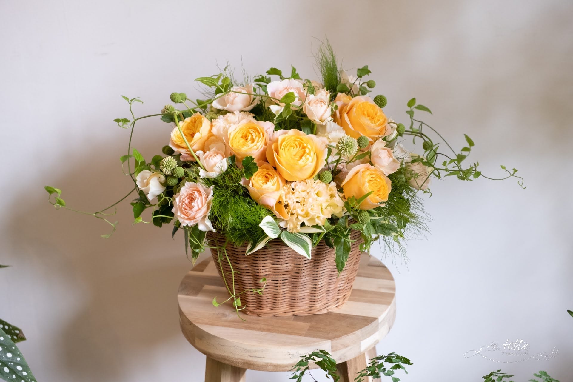 ラウンドアレンジメント オレンジ系をオーダーするならFlower&Plants tette │ 「手から手へ、想いを運ぶフラワーショップ」【板橋駅徒歩4分】【熟練フローリスト夫婦が運営】【最短2営業日で発送】【24時間365日注文OK】【ギフトは3300円〜】フラワーギフトを手から手へ、想いを込めたブーケやアレンジメントで大切な人に感謝と愛情を。シーンや用途に合わせて選びやすい豊富な種