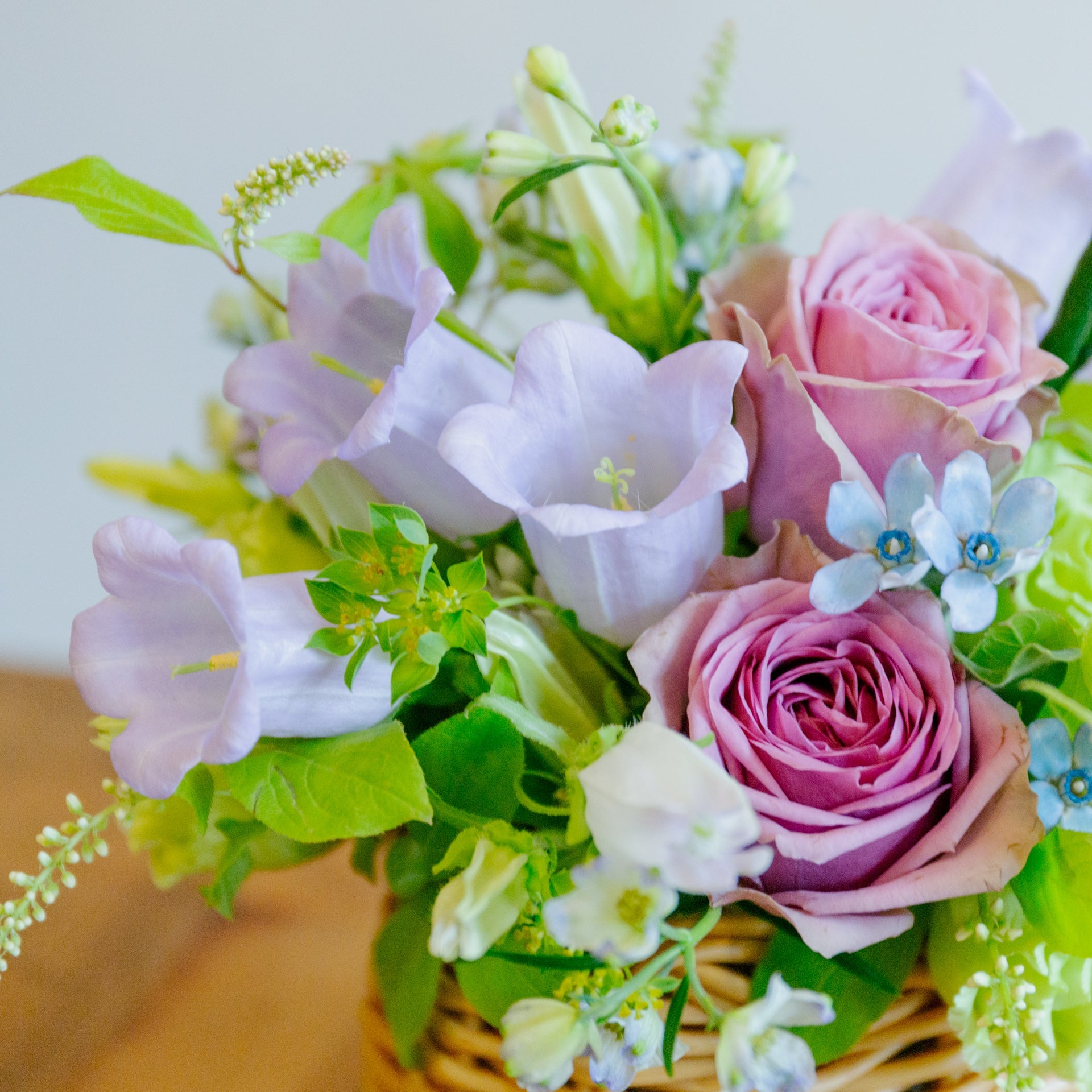 カンパニュラのギフトをオーダーするならFlower&Plants tette │ 「手から手へ、想いを運ぶフラワーショップ」【板橋駅徒歩4分】【熟練フローリスト夫婦が運営】【最短2営業日で発送】【24時間365日注文OK】【ギフトは3300円〜】フラワーギフトを手から手へ、想いを込めたブーケやアレンジメントで大切な人に感謝と愛情を。シーンや用途に合わせて選びやすい豊富な種