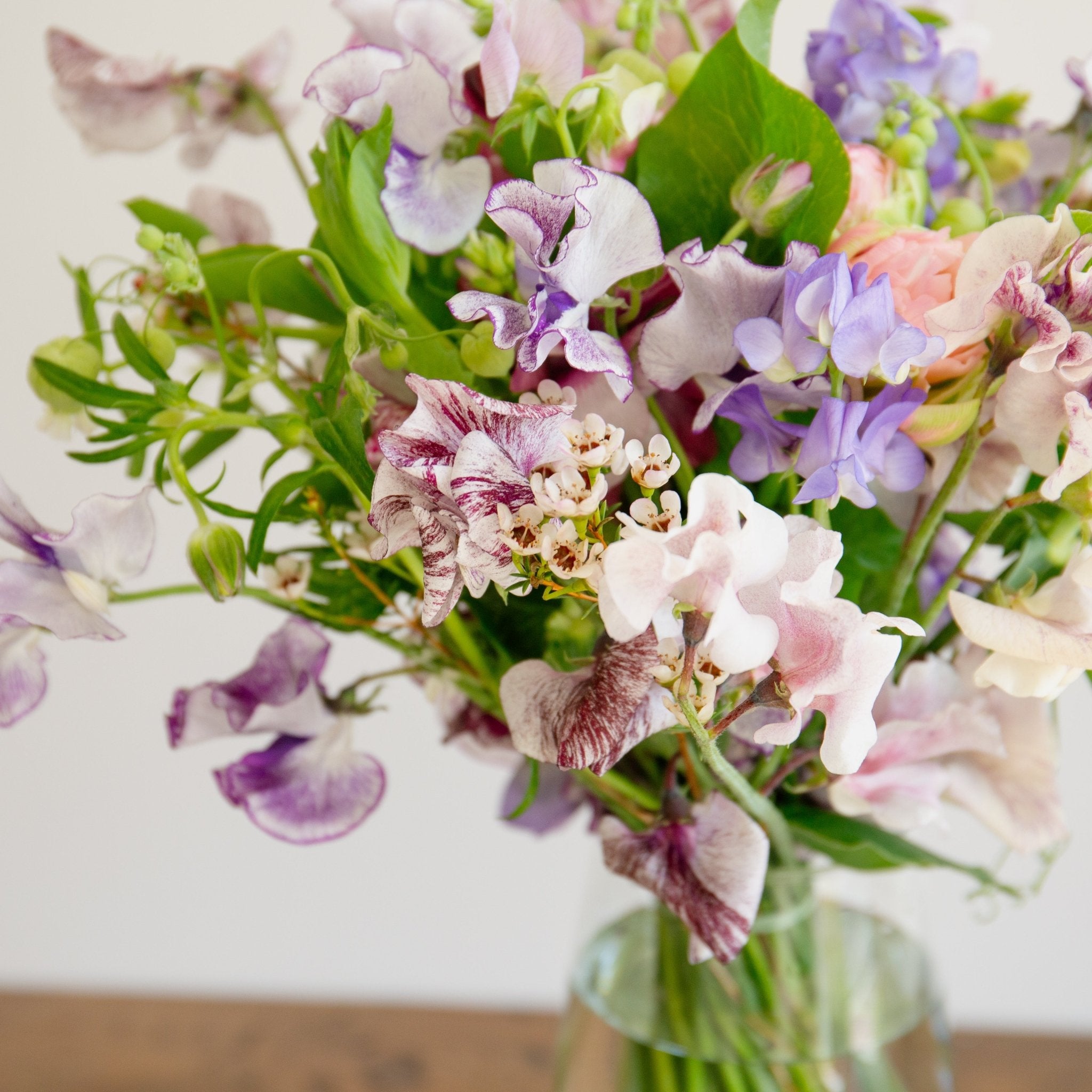 スイートピーのギフトをオーダーするならFlower&Plants tette │ 「手から手へ、想いを運ぶフラワーショップ」【板橋駅徒歩4分】【熟練フローリスト夫婦が運営】【最短2営業日で発送】【24時間365日注文OK】【ギフトは3300円〜】フラワーギフトを手から手へ、想いを込めたブーケやアレンジメントで大切な人に感謝と愛情を。シーンや用途に合わせて選びやすい豊富な種