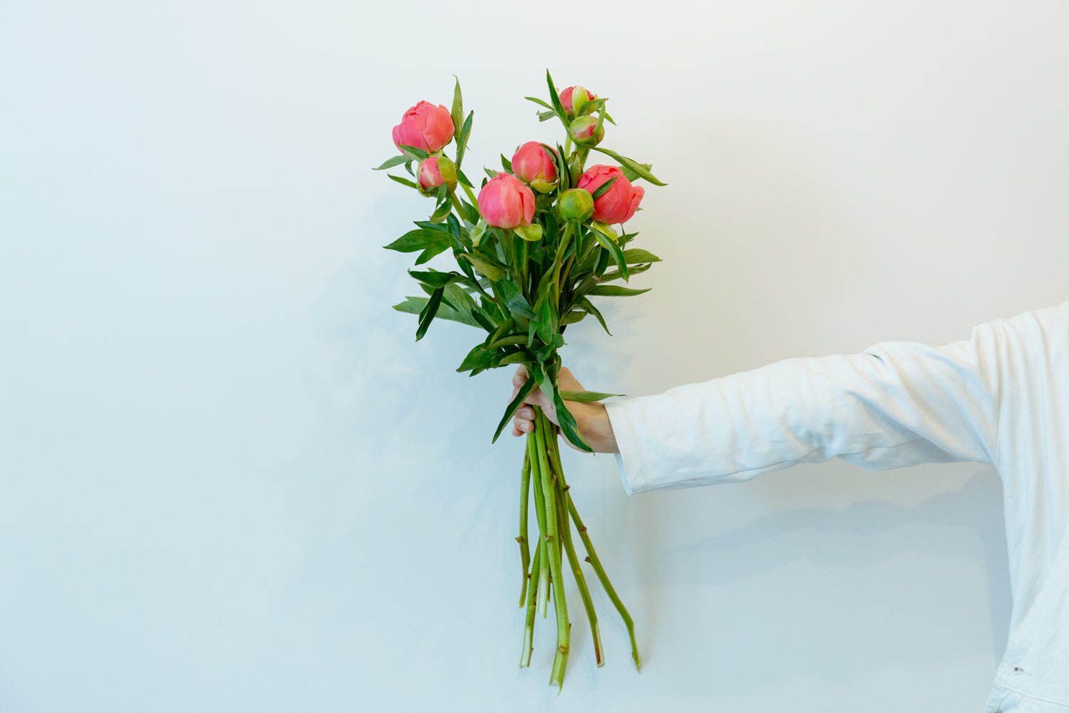 芍薬のギフトをオーダーするならFlower&Plants tette │ 「手から手へ、想いを運ぶフラワーショップ」【板橋駅徒歩4分】【熟練フローリスト夫婦が運営】【最短2営業日で発送】【24時間365日注文OK】【ギフトは3300円〜】フラワーギフトを手から手へ、想いを込めたブーケやアレンジメントで大切な人に感謝と愛情を。シーンや用途に合わせて選びやすい豊富な種