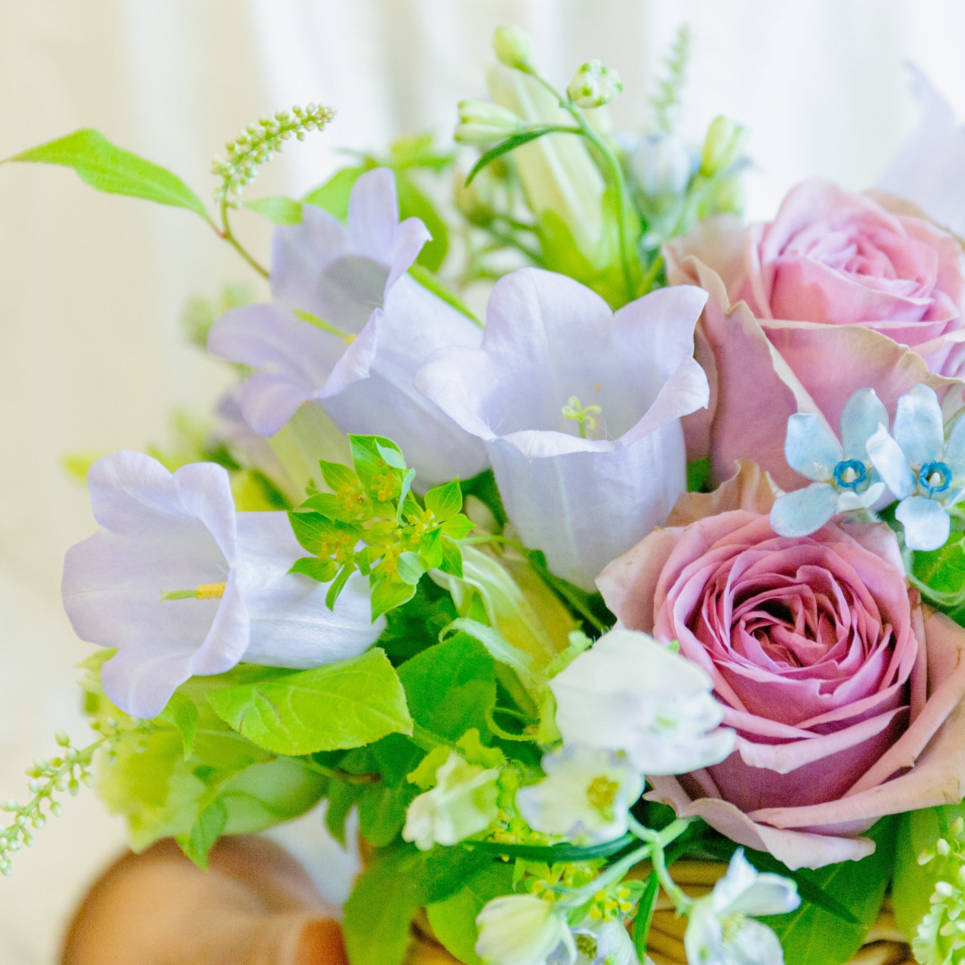 カンパニュラのギフトをオーダーするならFlower&Plants tette │ 「手から手へ、想いを運ぶフラワーショップ」【板橋駅徒歩4分】【熟練フローリスト夫婦が運営】【最短2営業日で発送】【24時間365日注文OK】【ギフトは3300円〜】フラワーギフトを手から手へ、想いを込めたブーケやアレンジメントで大切な人に感謝と愛情を。シーンや用途に合わせて選びやすい豊富な種