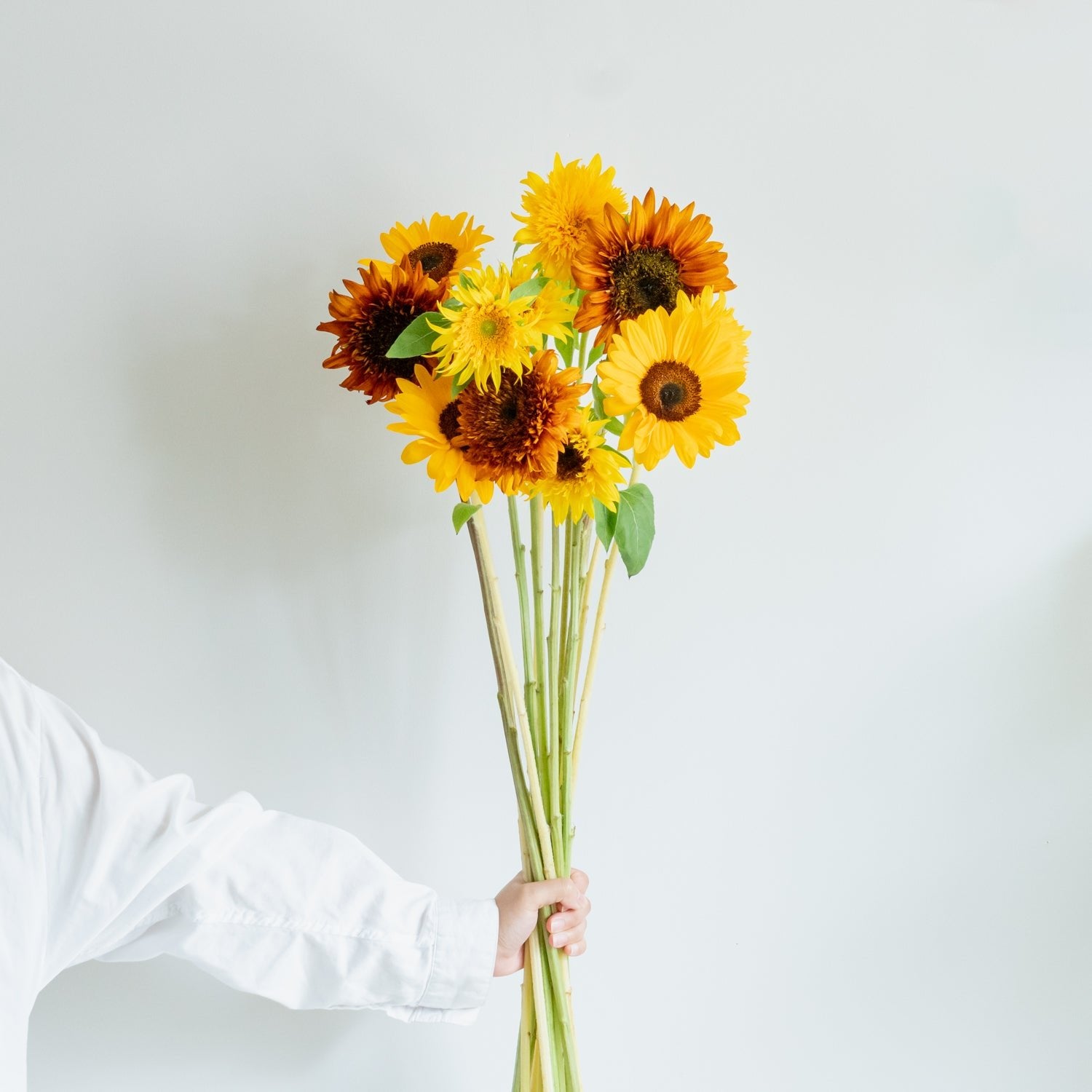 ひまわりのギフトをオーダーするならFlower&Plants tette │ 「手から手へ、想いを運ぶフラワーショップ」【板橋駅徒歩4分】【熟練フローリスト夫婦が運営】【最短2営業日で発送】【24時間365日注文OK】【ギフトは3300円〜】フラワーギフトを手から手へ、想いを込めたブーケやアレンジメントで大切な人に感謝と愛情を。シーンや用途に合わせて選びやすい豊富な種