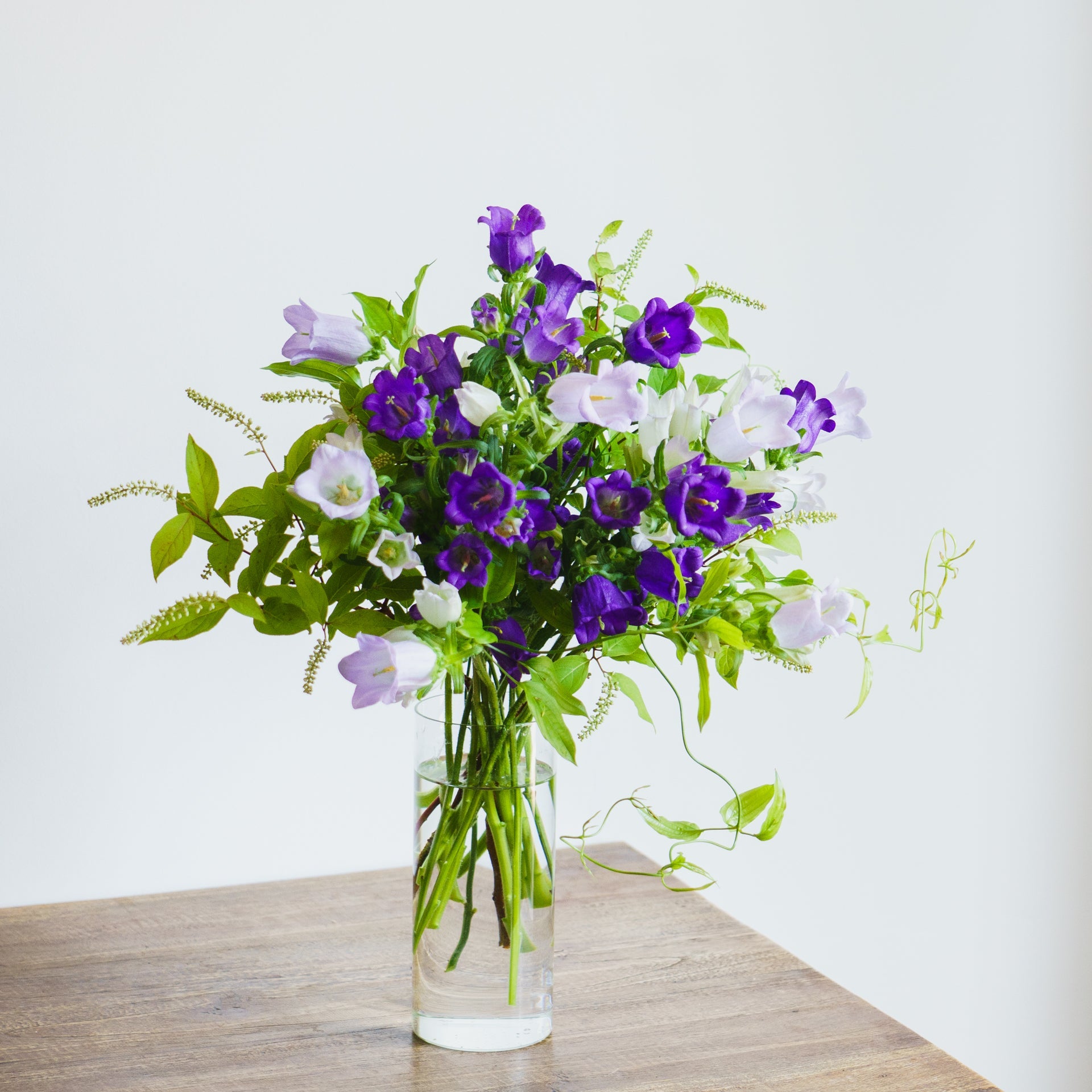 カンパニュラのギフトをオーダーするならFlower&Plants tette │ 「手から手へ、想いを運ぶフラワーショップ」【板橋駅徒歩4分】【熟練フローリスト夫婦が運営】【最短2営業日で発送】【24時間365日注文OK】【ギフトは3300円〜】フラワーギフトを手から手へ、想いを込めたブーケやアレンジメントで大切な人に感謝と愛情を。シーンや用途に合わせて選びやすい豊富な種