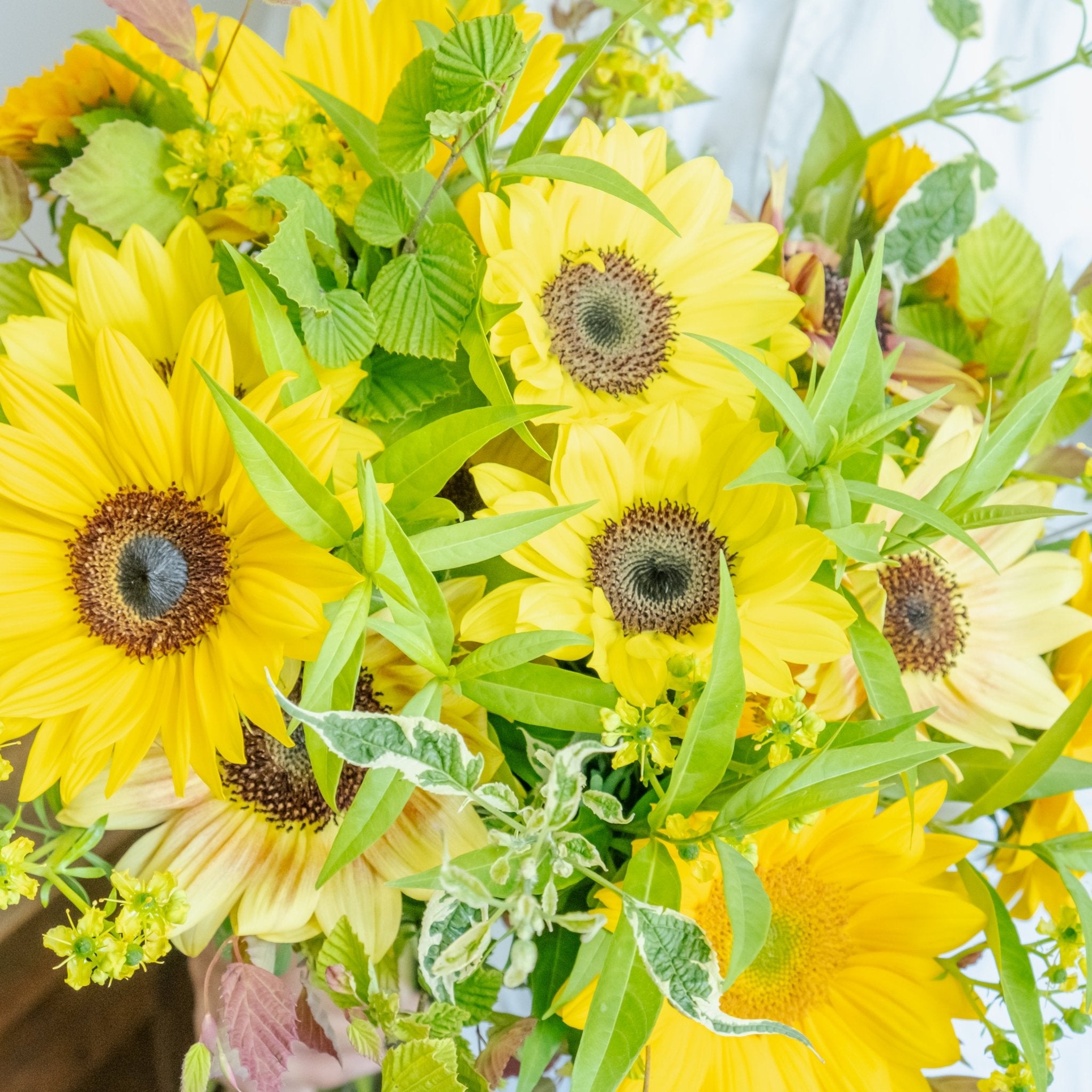 ひまわりのギフトをオーダーするならFlower&Plants tette │ 「手から手へ、想いを運ぶフラワーショップ」【板橋駅徒歩4分】【熟練フローリスト夫婦が運営】【最短2営業日で発送】【24時間365日注文OK】【ギフトは3300円〜】フラワーギフトを手から手へ、想いを込めたブーケやアレンジメントで大切な人に感謝と愛情を。シーンや用途に合わせて選びやすい豊富な種