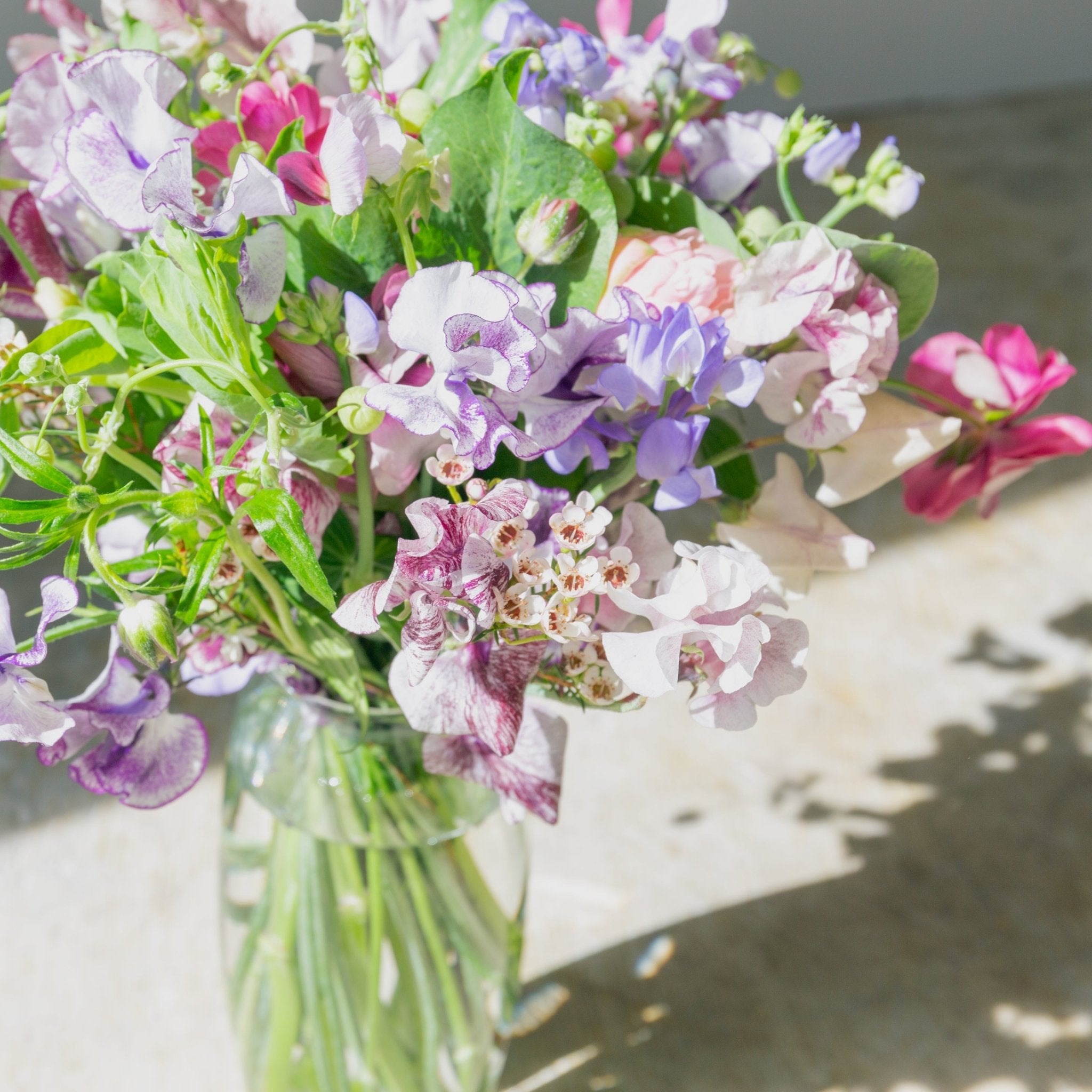 スイートピーのギフトをオーダーするならFlower&Plants tette │ 「手から手へ、想いを運ぶフラワーショップ」【板橋駅徒歩4分】【熟練フローリスト夫婦が運営】【最短2営業日で発送】【24時間365日注文OK】【ギフトは3300円〜】フラワーギフトを手から手へ、想いを込めたブーケやアレンジメントで大切な人に感謝と愛情を。シーンや用途に合わせて選びやすい豊富な種