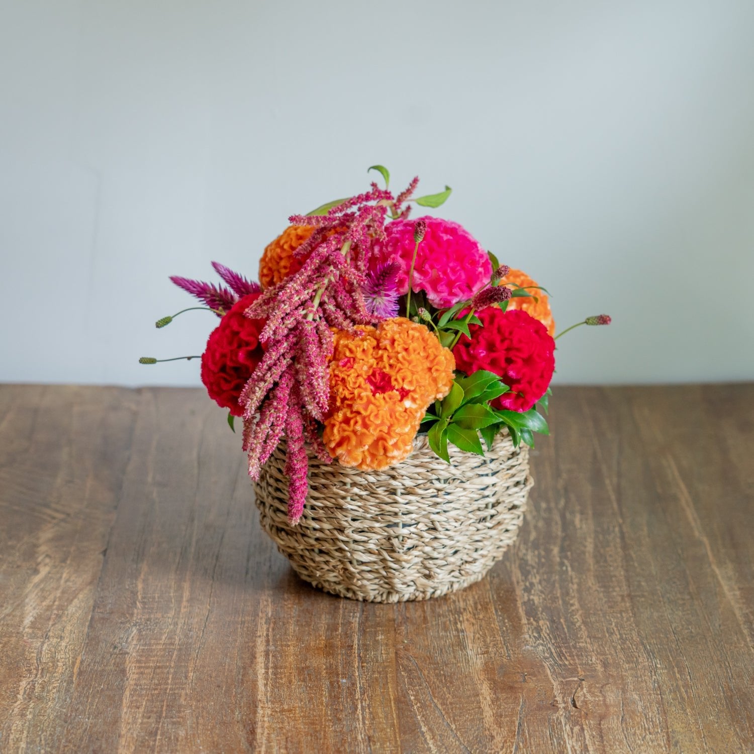 ケイトウのギフトをオーダーするならFlower&Plants tette │ 「手から手へ、想いを運ぶフラワーショップ」【板橋駅徒歩4分】【熟練フローリスト夫婦が運営】【最短2営業日で発送】【24時間365日注文OK】【ギフトは3300円〜】フラワーギフトを手から手へ、想いを込めたブーケやアレンジメントで大切な人に感謝と愛情を。シーンや用途に合わせて選びやすい豊富な種