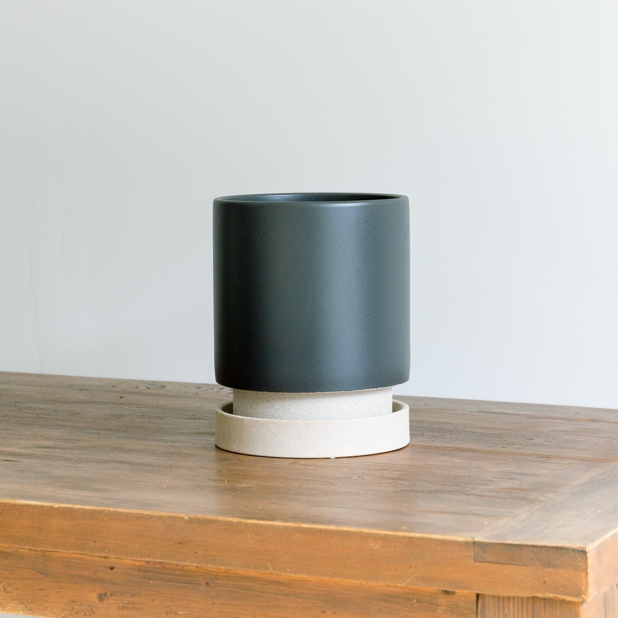 パラドックトールをオーダーするならFlower&Plants tette │ 「手から手へ、想いを運ぶフラワーショップ」【板橋駅徒歩4分】【熟練フローリスト夫婦が運営】【最短2営業日で発送】【24時間365日注文OK】【ギフトは3300円〜】フラワーギフトを手から手へ、想いを込めたブーケやアレンジメントで大切な人に感謝と愛情を。シーンや用途に合わせて選びやすい豊富な種