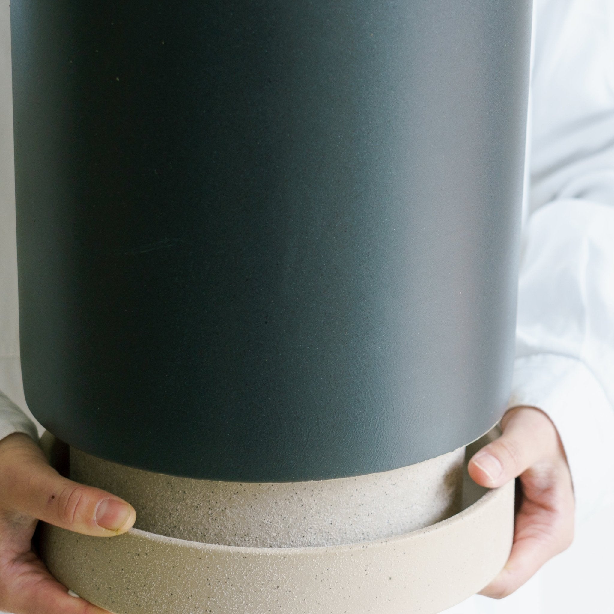 パラドックトールをオーダーするならFlower&Plants tette │ 「手から手へ、想いを運ぶフラワーショップ」【板橋駅徒歩4分】【熟練フローリスト夫婦が運営】【最短2営業日で発送】【24時間365日注文OK】【ギフトは3300円〜】フラワーギフトを手から手へ、想いを込めたブーケやアレンジメントで大切な人に感謝と愛情を。シーンや用途に合わせて選びやすい豊富な種