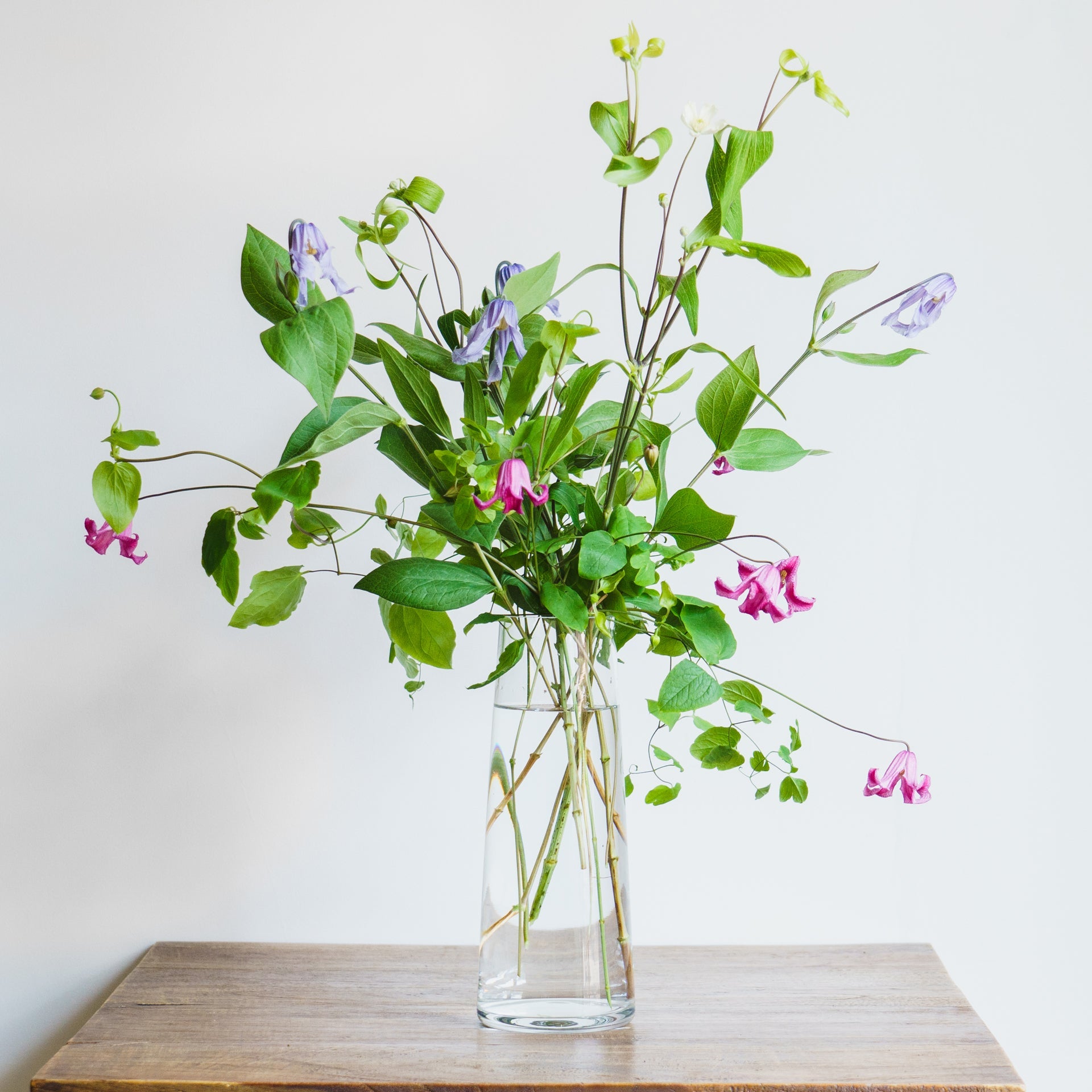 クレマチスのギフトをオーダーするならFlower&Plants tette │ 「手から手へ、想いを運ぶフラワーショップ」【板橋駅徒歩4分】【熟練フローリスト夫婦が運営】【最短2営業日で発送】【24時間365日注文OK】【ギフトは3300円〜】フラワーギフトを手から手へ、想いを込めたブーケやアレンジメントで大切な人に感謝と愛情を。シーンや用途に合わせて選びやすい豊富な種