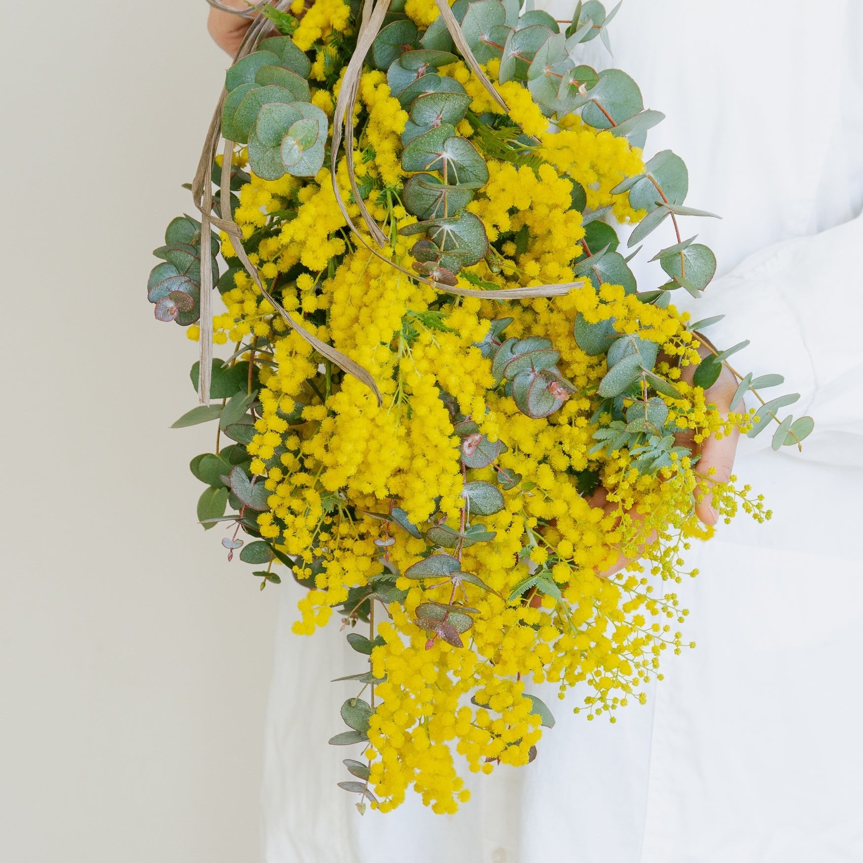 ミモザのギフトをオーダーするならFlower&Plants tette │ 「手から手へ、想いを運ぶフラワーショップ」【板橋駅徒歩4分】【熟練フローリスト夫婦が運営】【最短2営業日で発送】【24時間365日注文OK】【ギフトは3300円〜】フラワーギフトを手から手へ、想いを込めたブーケやアレンジメントで大切な人に感謝と愛情を。シーンや用途に合わせて選びやすい豊富な種