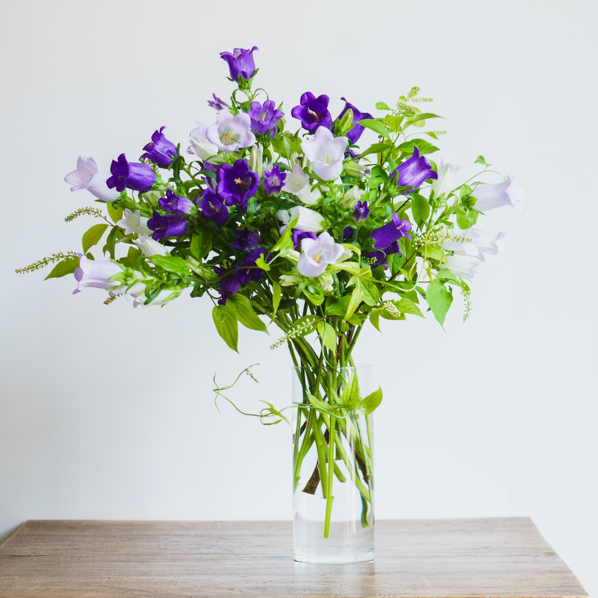 カンパニュラのギフトをオーダーするならFlower&Plants tette │ 「手から手へ、想いを運ぶフラワーショップ」【板橋駅徒歩4分】【熟練フローリスト夫婦が運営】【最短2営業日で発送】【24時間365日注文OK】【ギフトは3300円〜】フラワーギフトを手から手へ、想いを込めたブーケやアレンジメントで大切な人に感謝と愛情を。シーンや用途に合わせて選びやすい豊富な種