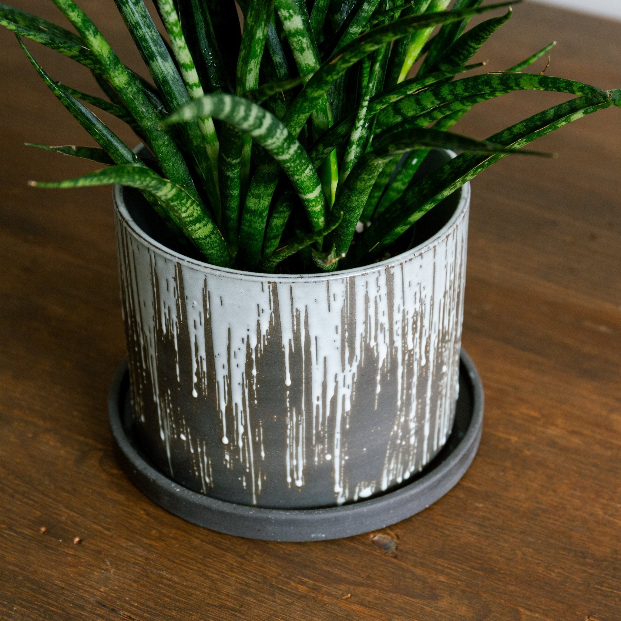 ベイト ラウンドをオーダーするならFlower&Plants tette │ 「手から手へ、想いを運ぶフラワーショップ」【板橋駅徒歩4分】【熟練フローリスト夫婦が運営】【最短2営業日で発送】【24時間365日注文OK】【ギフトは3300円〜】フラワーギフトを手から手へ、想いを込めたブーケやアレンジメントで大切な人に感謝と愛情を。シーンや用途に合わせて選びやすい豊富な種