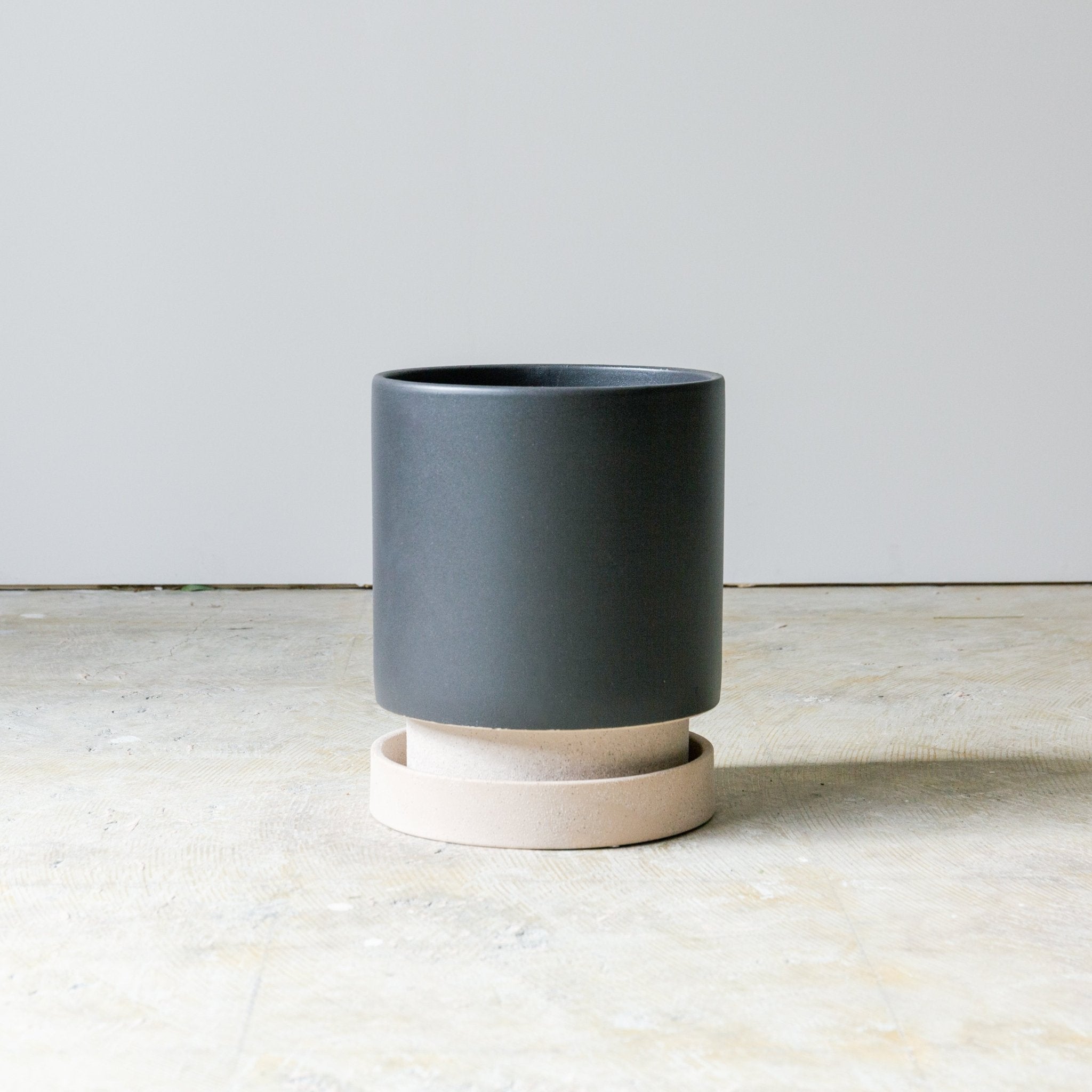 パラドックトールをオーダーするならFlower&Plants tette │ 「手から手へ、想いを運ぶフラワーショップ」【板橋駅徒歩4分】【熟練フローリスト夫婦が運営】【最短2営業日で発送】【24時間365日注文OK】【ギフトは3300円〜】フラワーギフトを手から手へ、想いを込めたブーケやアレンジメントで大切な人に感謝と愛情を。シーンや用途に合わせて選びやすい豊富な種