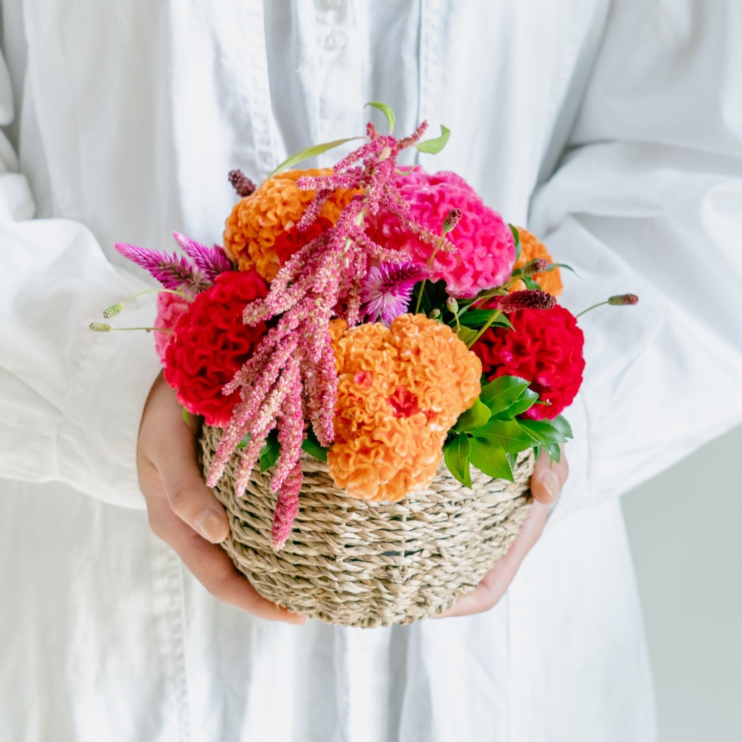 ケイトウのギフトをオーダーするならFlower&Plants tette │ 「手から手へ、想いを運ぶフラワーショップ」【板橋駅徒歩4分】【熟練フローリスト夫婦が運営】【最短2営業日で発送】【24時間365日注文OK】【ギフトは3300円〜】フラワーギフトを手から手へ、想いを込めたブーケやアレンジメントで大切な人に感謝と愛情を。シーンや用途に合わせて選びやすい豊富な種
