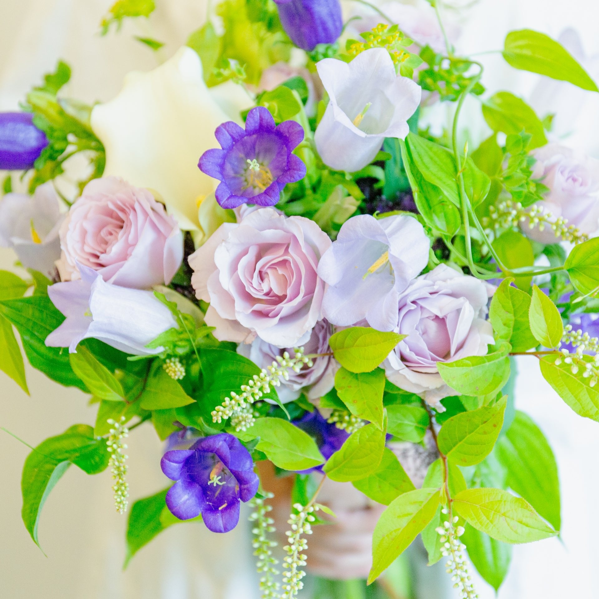 カンパニュラのギフトをオーダーするならFlower&Plants tette │ 「手から手へ、想いを運ぶフラワーショップ」【板橋駅徒歩4分】【熟練フローリスト夫婦が運営】【最短2営業日で発送】【24時間365日注文OK】【ギフトは3300円〜】フラワーギフトを手から手へ、想いを込めたブーケやアレンジメントで大切な人に感謝と愛情を。シーンや用途に合わせて選びやすい豊富な種