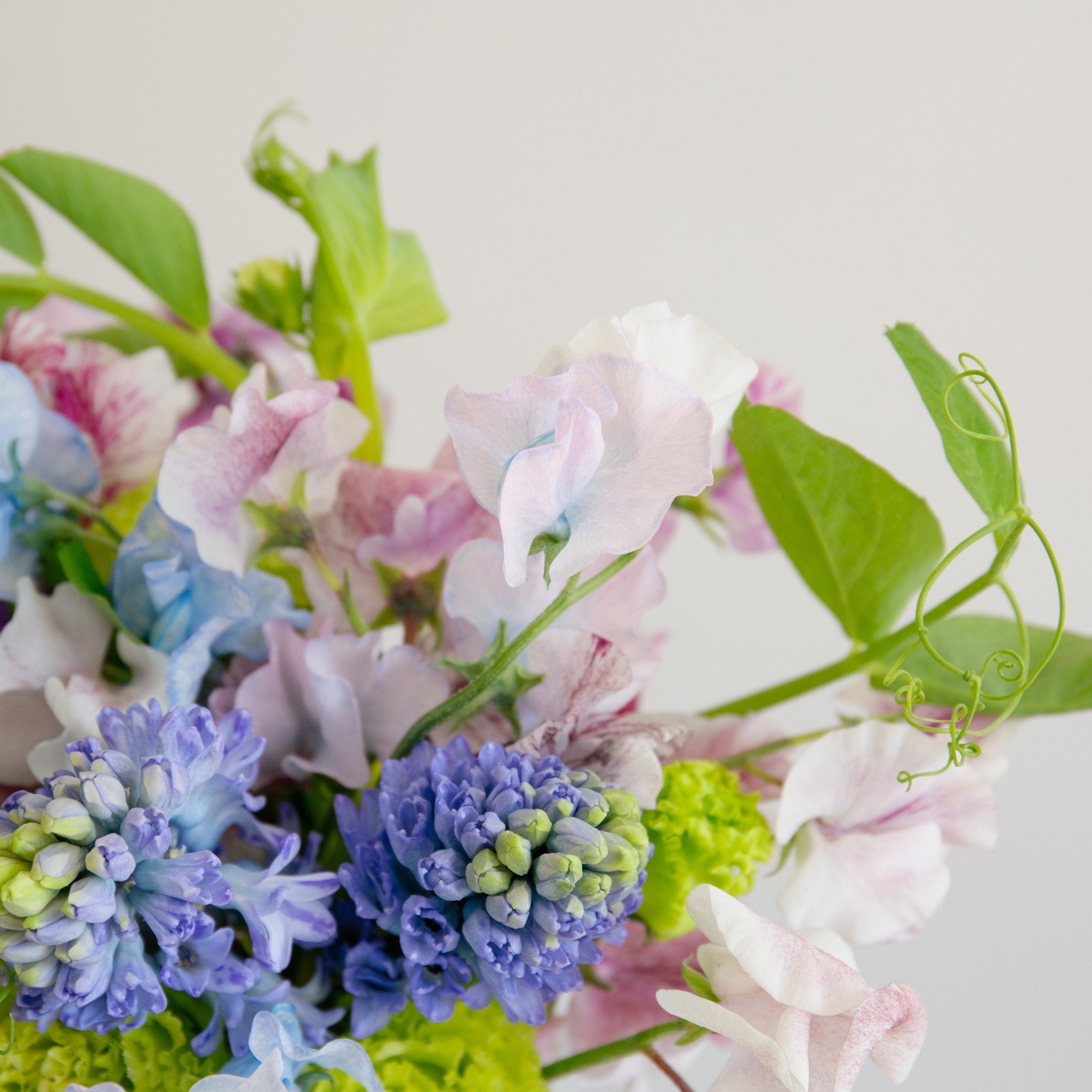 スイートピーのギフトをオーダーするならFlower&Plants tette │ 「手から手へ、想いを運ぶフラワーショップ」【板橋駅徒歩4分】【熟練フローリスト夫婦が運営】【最短2営業日で発送】【24時間365日注文OK】【ギフトは3300円〜】フラワーギフトを手から手へ、想いを込めたブーケやアレンジメントで大切な人に感謝と愛情を。シーンや用途に合わせて選びやすい豊富な種