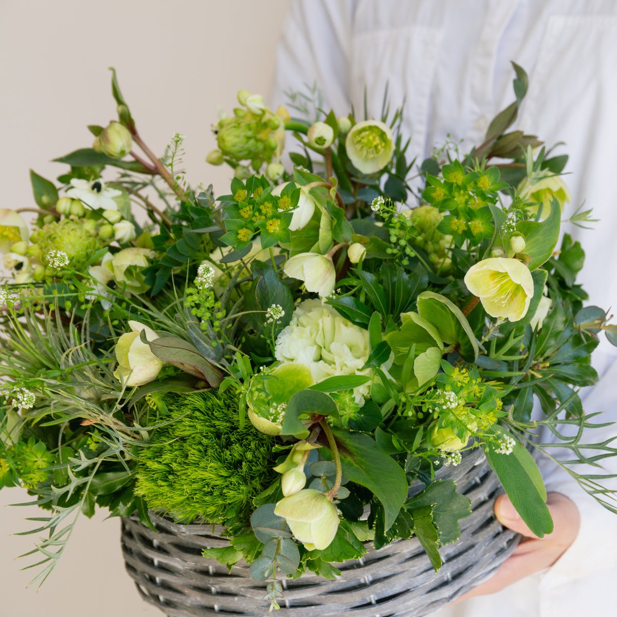 クリスマスローズのギフトをオーダーするならFlower&Plants tette │ 「手から手へ、想いを運ぶフラワーショップ」【板橋駅徒歩4分】【熟練フローリスト夫婦が運営】【最短2営業日で発送】【24時間365日注文OK】【ギフトは3300円〜】フラワーギフトを手から手へ、想いを込めたブーケやアレンジメントで大切な人に感謝と愛情を。シーンや用途に合わせて選びやすい豊富な種