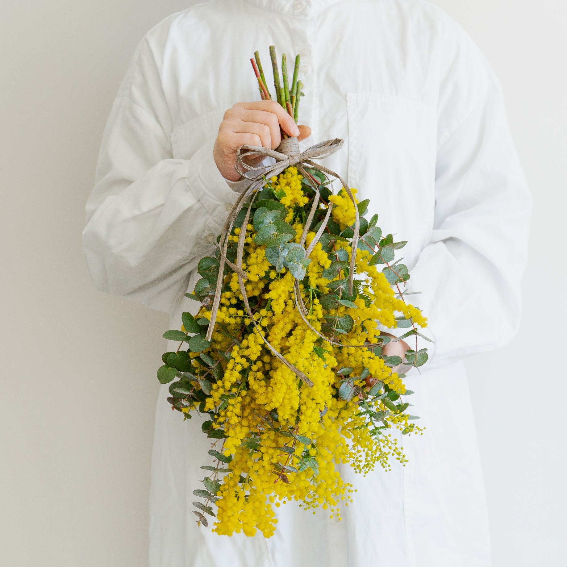 ミモザのギフトをオーダーするならFlower&Plants tette │ 「手から手へ、想いを運ぶフラワーショップ」【板橋駅徒歩4分】【熟練フローリスト夫婦が運営】【最短2営業日で発送】【24時間365日注文OK】【ギフトは3300円〜】フラワーギフトを手から手へ、想いを込めたブーケやアレンジメントで大切な人に感謝と愛情を。シーンや用途に合わせて選びやすい豊富な種