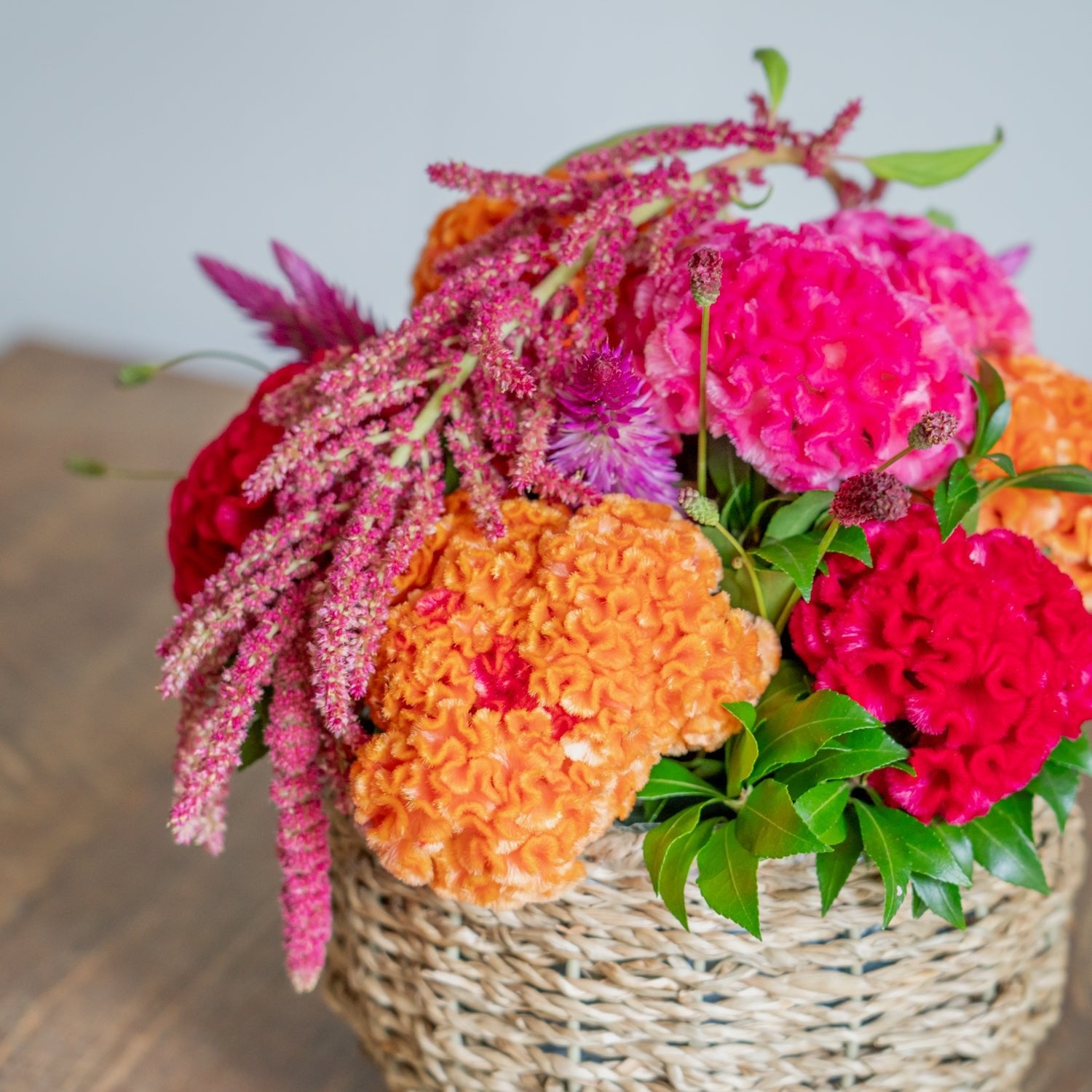 ケイトウのギフトをオーダーするならFlower&Plants tette │ 「手から手へ、想いを運ぶフラワーショップ」【板橋駅徒歩4分】【熟練フローリスト夫婦が運営】【最短2営業日で発送】【24時間365日注文OK】【ギフトは3300円〜】フラワーギフトを手から手へ、想いを込めたブーケやアレンジメントで大切な人に感謝と愛情を。シーンや用途に合わせて選びやすい豊富な種