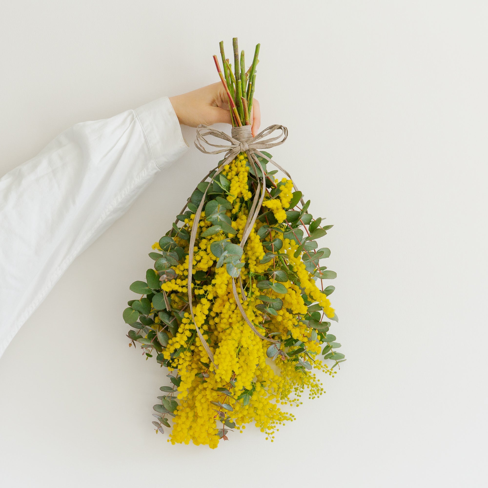 ミモザのギフトをオーダーするならFlower&Plants tette │ 「手から手へ、想いを運ぶフラワーショップ」【板橋駅徒歩4分】【熟練フローリスト夫婦が運営】【最短2営業日で発送】【24時間365日注文OK】【ギフトは3300円〜】フラワーギフトを手から手へ、想いを込めたブーケやアレンジメントで大切な人に感謝と愛情を。シーンや用途に合わせて選びやすい豊富な種