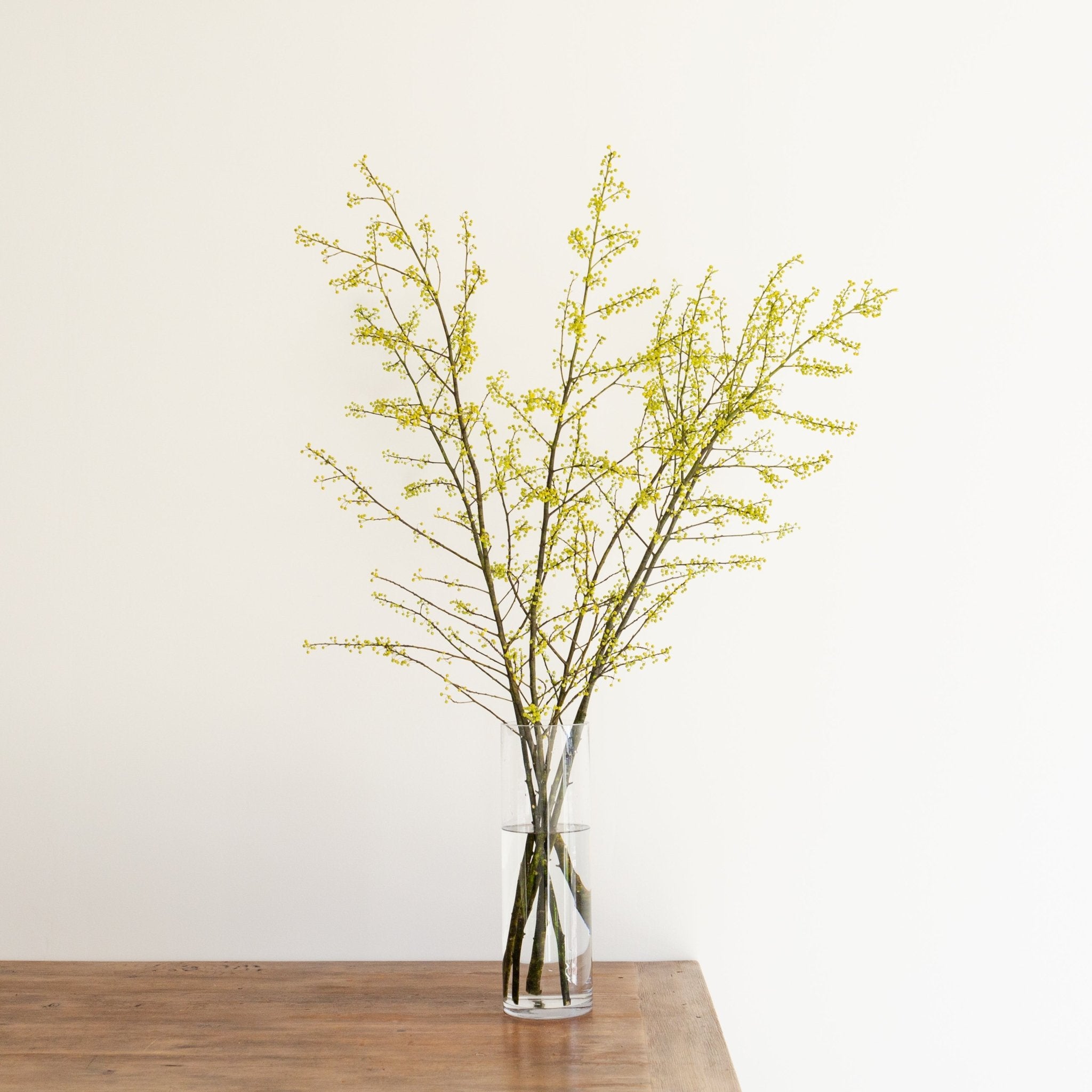 枝もの定期便をオーダーするならFlower&Plants tette │ 「手から手へ、想いを運ぶフラワーショップ」【板橋駅徒歩4分】【熟練フローリスト夫婦が運営】【最短2営業日で発送】【24時間365日注文OK】【ギフトは3300円〜】フラワーギフトを手から手へ、想いを込めたブーケやアレンジメントで大切な人に感謝と愛情を。シーンや用途に合わせて選びやすい豊富な種