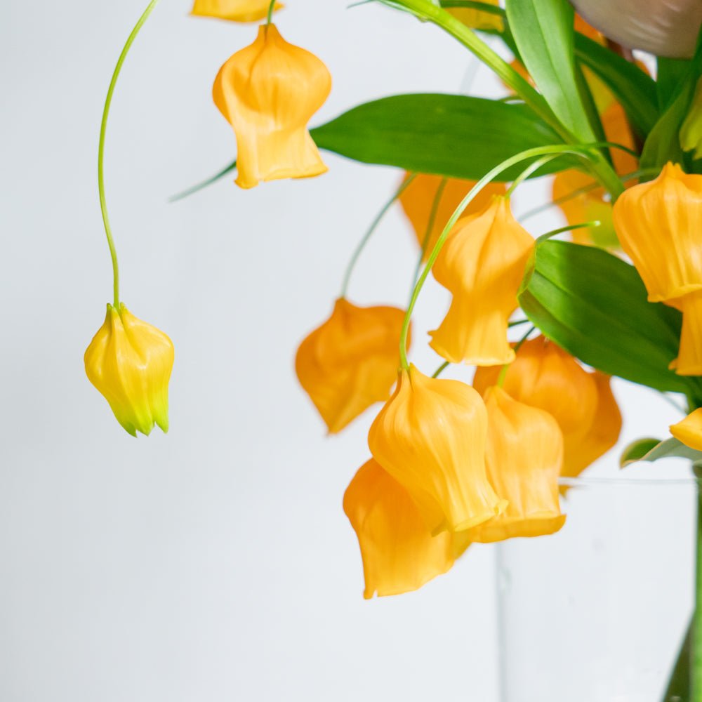 サンダーソニアのギフトをオーダーするならFlower&Plants tette │ 「手から手へ、想いを運ぶフラワーショップ」【板橋駅徒歩4分】【熟練フローリスト夫婦が運営】【最短2営業日で発送】【24時間365日注文OK】【ギフトは3300円〜】フラワーギフトを手から手へ、想いを込めたブーケやアレンジメントで大切な人に感謝と愛情を。シーンや用途に合わせて選びやすい豊富な種