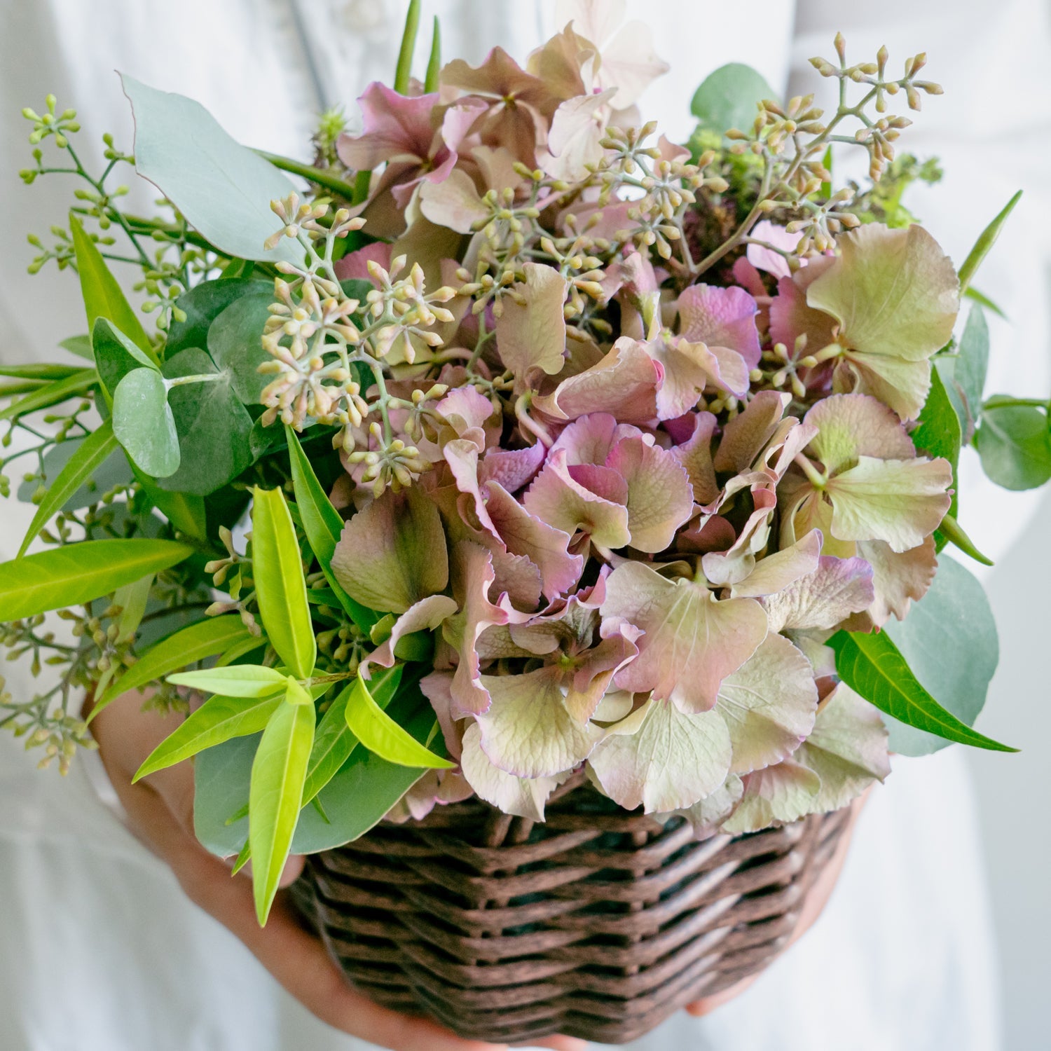 アジサイのギフトをオーダーするならFlower&Plants tette │ 「手から手へ、想いを運ぶフラワーショップ」【板橋駅徒歩4分】【熟練フローリスト夫婦が運営】【最短2営業日で発送】【24時間365日注文OK】【ギフトは3300円〜】フラワーギフトを手から手へ、想いを込めたブーケやアレンジメントで大切な人に感謝と愛情を。シーンや用途に合わせて選びやすい豊富な種