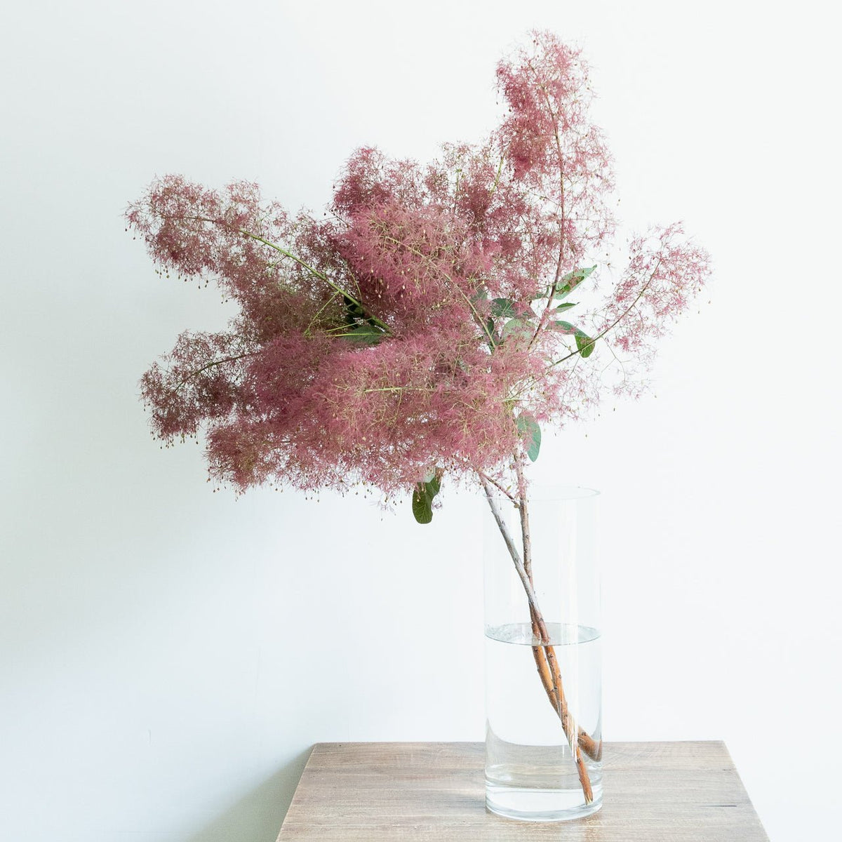 ガラス シリンダーをオーダーするならFlower&Plants tette │ 「手から手へ、想いを運ぶフラワーショップ」【板橋駅徒歩4分】【熟練フローリスト夫婦が運営】【最短2営業日で発送】【24時間365日注文OK】【ギフトは3300円〜】フラワーギフトを手から手へ、想いを込めたブーケやアレンジメントで大切な人に感謝と愛情を。シーンや用途に合わせて選びやすい豊富な種