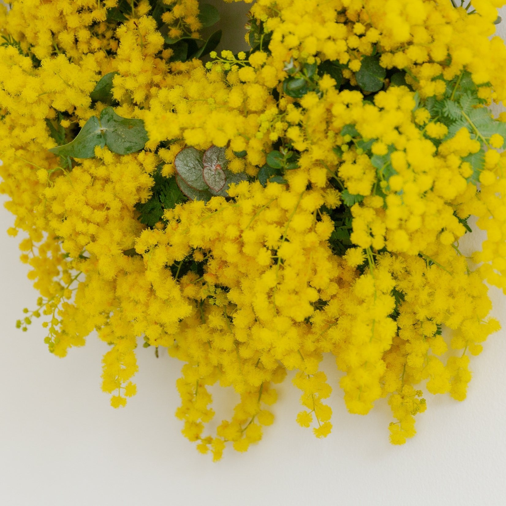 ミモザのギフトをオーダーするならFlower&Plants tette │ 「手から手へ、想いを運ぶフラワーショップ」【板橋駅徒歩4分】【熟練フローリスト夫婦が運営】【最短2営業日で発送】【24時間365日注文OK】【ギフトは3300円〜】フラワーギフトを手から手へ、想いを込めたブーケやアレンジメントで大切な人に感謝と愛情を。シーンや用途に合わせて選びやすい豊富な種