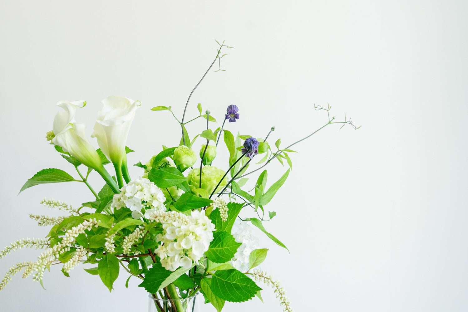 お花の定期便をオーダーするならFlower&Plants tette │ 「手から手へ、想いを運ぶフラワーショップ」【板橋駅徒歩4分】【熟練フローリスト夫婦が運営】【最短2営業日で発送】【24時間365日注文OK】【ギフトは3300円〜】フラワーギフトを手から手へ、想いを込めたブーケやアレンジメントで大切な人に感謝と愛情を。シーンや用途に合わせて選びやすい豊富な種