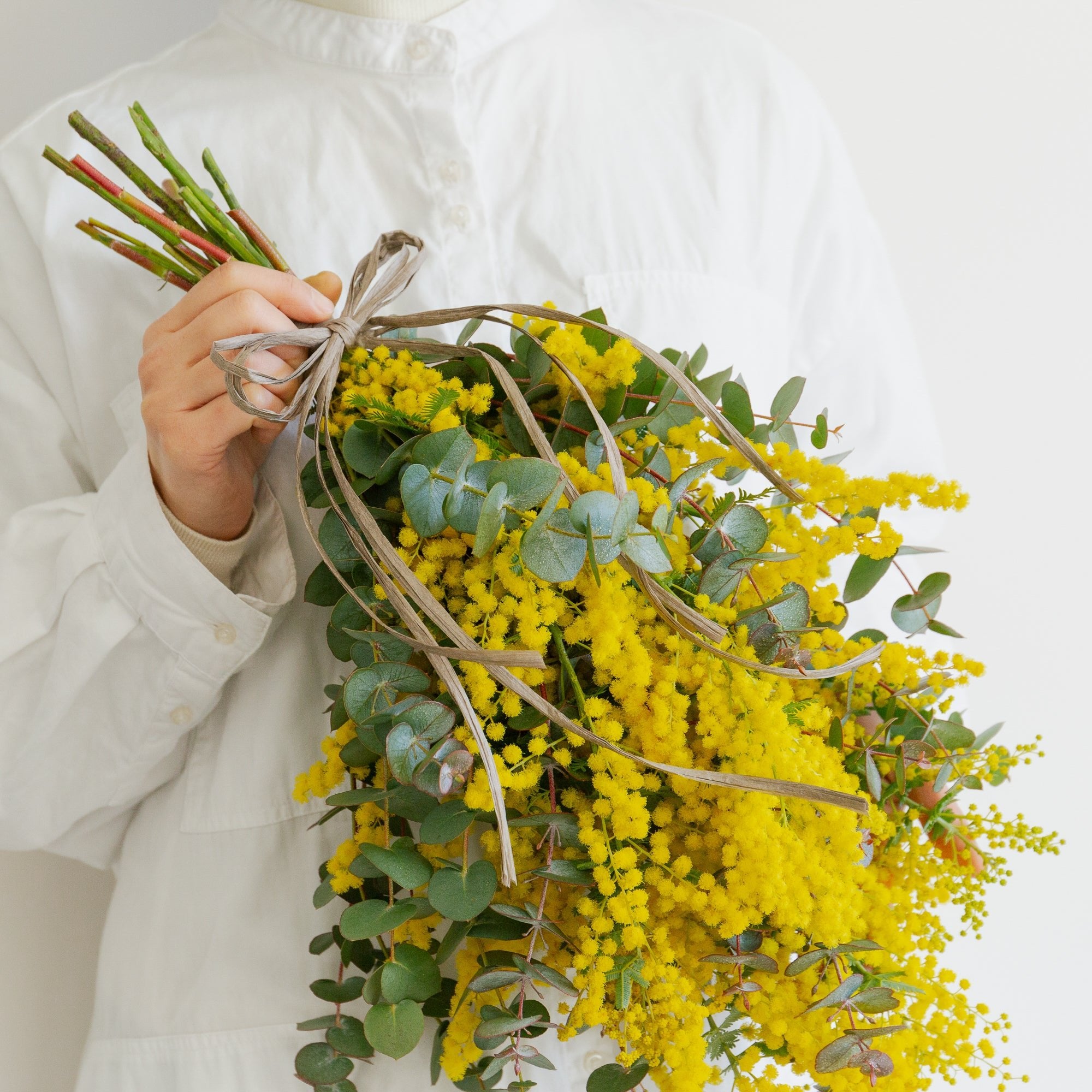 ミモザのギフトをオーダーするならFlower&Plants tette │ 「手から手へ、想いを運ぶフラワーショップ」【板橋駅徒歩4分】【熟練フローリスト夫婦が運営】【最短2営業日で発送】【24時間365日注文OK】【ギフトは3300円〜】フラワーギフトを手から手へ、想いを込めたブーケやアレンジメントで大切な人に感謝と愛情を。シーンや用途に合わせて選びやすい豊富な種