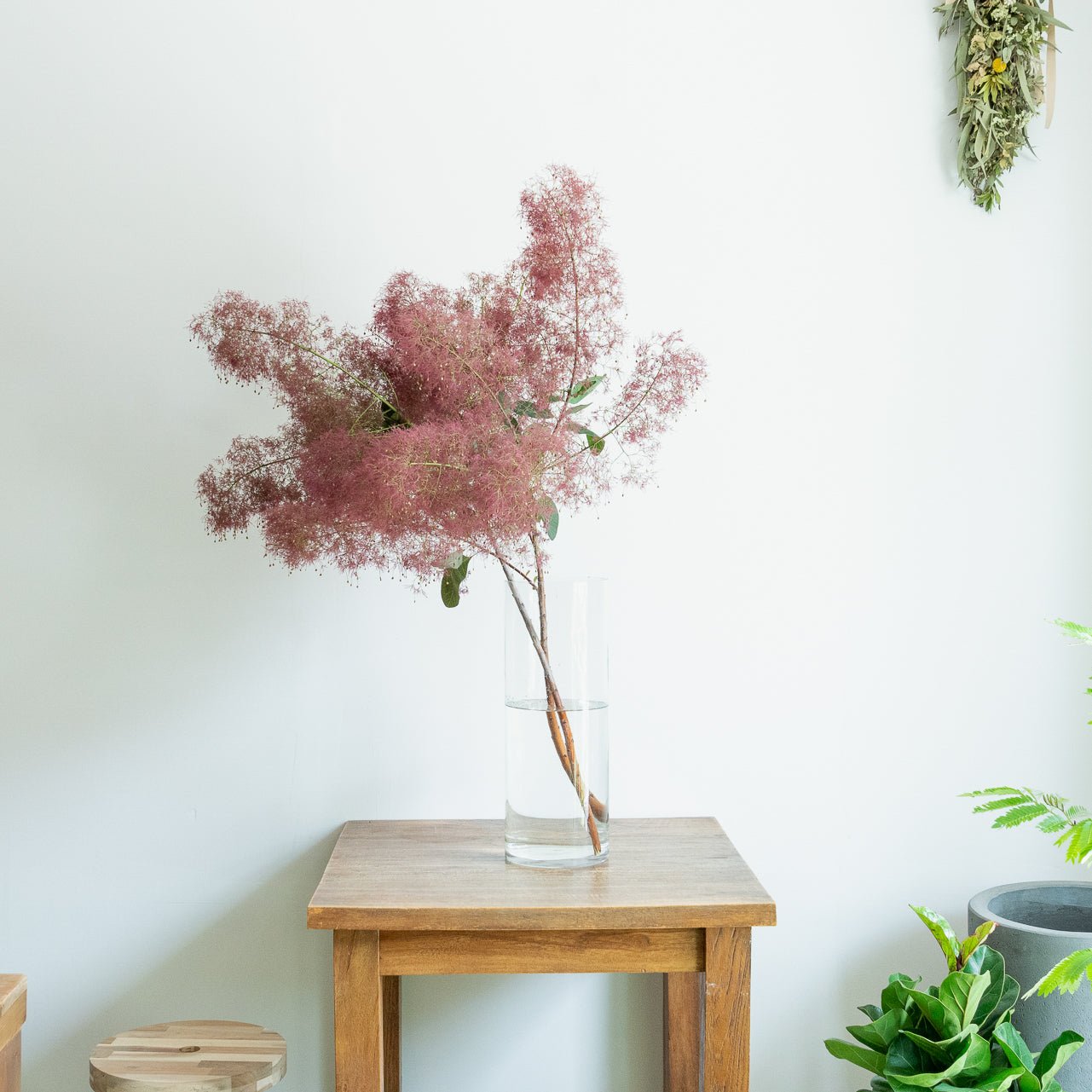 枝もの定期便をオーダーするならFlower&Plants tette │ 「手から手へ、想いを運ぶフラワーショップ」【板橋駅徒歩4分】【熟練フローリスト夫婦が運営】【最短2営業日で発送】【24時間365日注文OK】【ギフトは3300円〜】フラワーギフトを手から手へ、想いを込めたブーケやアレンジメントで大切な人に感謝と愛情を。シーンや用途に合わせて選びやすい豊富な種