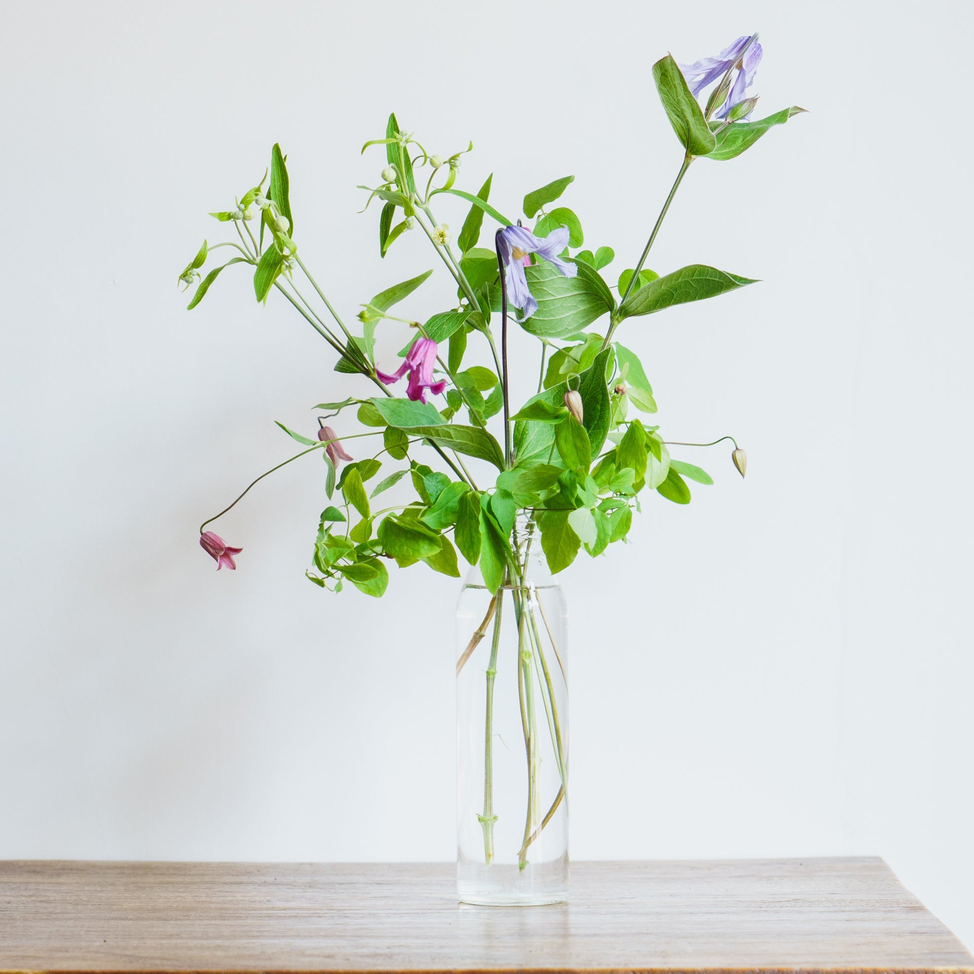 クレマチスのギフトをオーダーするならFlower&Plants tette │ 「手から手へ、想いを運ぶフラワーショップ」【板橋駅徒歩4分】【熟練フローリスト夫婦が運営】【最短2営業日で発送】【24時間365日注文OK】【ギフトは3300円〜】フラワーギフトを手から手へ、想いを込めたブーケやアレンジメントで大切な人に感謝と愛情を。シーンや用途に合わせて選びやすい豊富な種