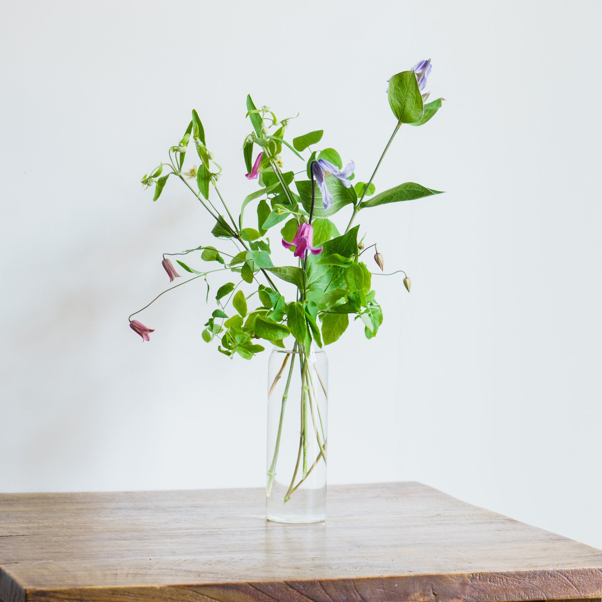 クレマチスのギフトをオーダーするならFlower&Plants tette │ 「手から手へ、想いを運ぶフラワーショップ」【板橋駅徒歩4分】【熟練フローリスト夫婦が運営】【最短2営業日で発送】【24時間365日注文OK】【ギフトは3300円〜】フラワーギフトを手から手へ、想いを込めたブーケやアレンジメントで大切な人に感謝と愛情を。シーンや用途に合わせて選びやすい豊富な種