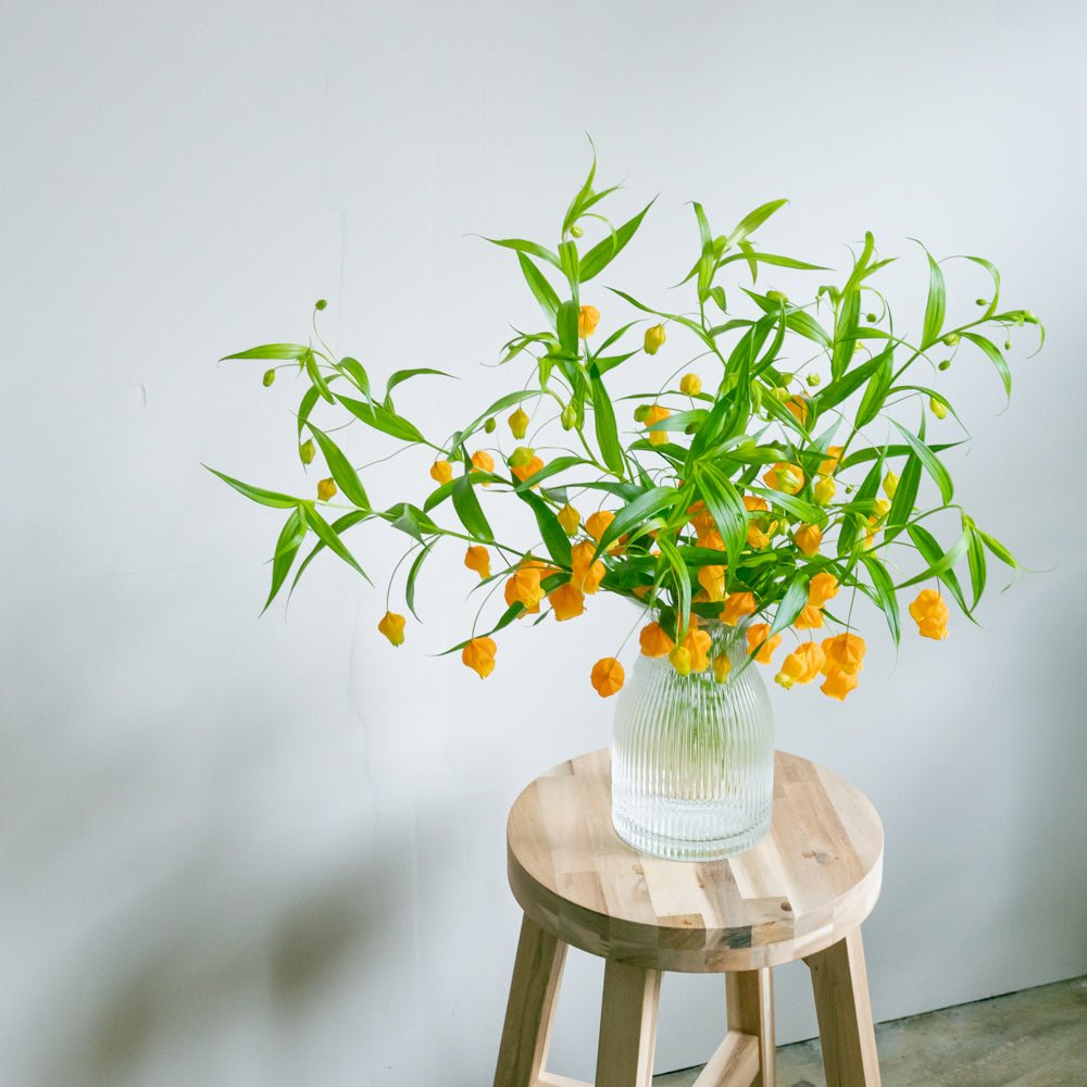 サンダーソニアのギフトをオーダーするならFlower&Plants tette │ 「手から手へ、想いを運ぶフラワーショップ」【板橋駅徒歩4分】【熟練フローリスト夫婦が運営】【最短2営業日で発送】【24時間365日注文OK】【ギフトは3300円〜】フラワーギフトを手から手へ、想いを込めたブーケやアレンジメントで大切な人に感謝と愛情を。シーンや用途に合わせて選びやすい豊富な種