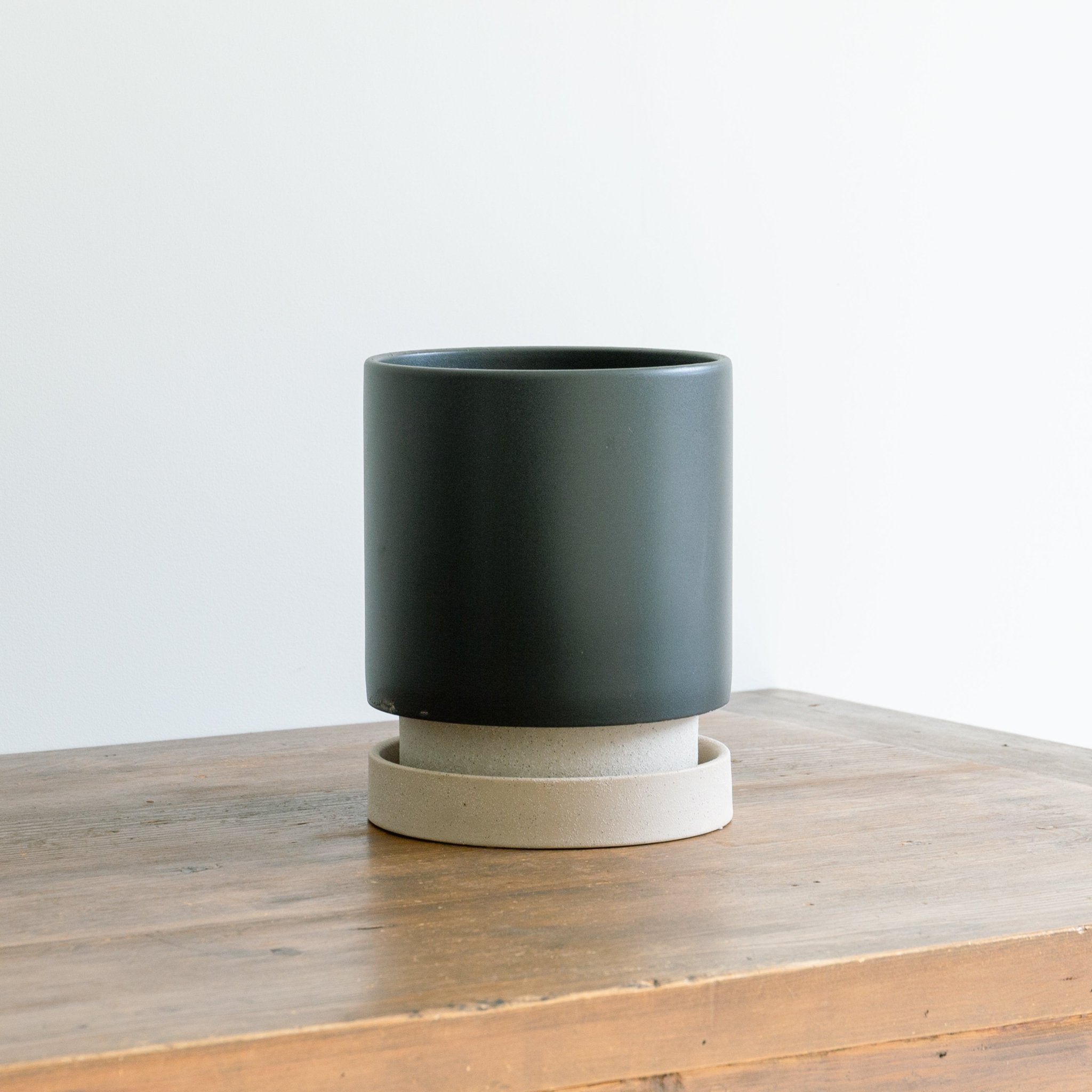 パラドックトールをオーダーするならFlower&Plants tette │ 「手から手へ、想いを運ぶフラワーショップ」【板橋駅徒歩4分】【熟練フローリスト夫婦が運営】【最短2営業日で発送】【24時間365日注文OK】【ギフトは3300円〜】フラワーギフトを手から手へ、想いを込めたブーケやアレンジメントで大切な人に感謝と愛情を。シーンや用途に合わせて選びやすい豊富な種