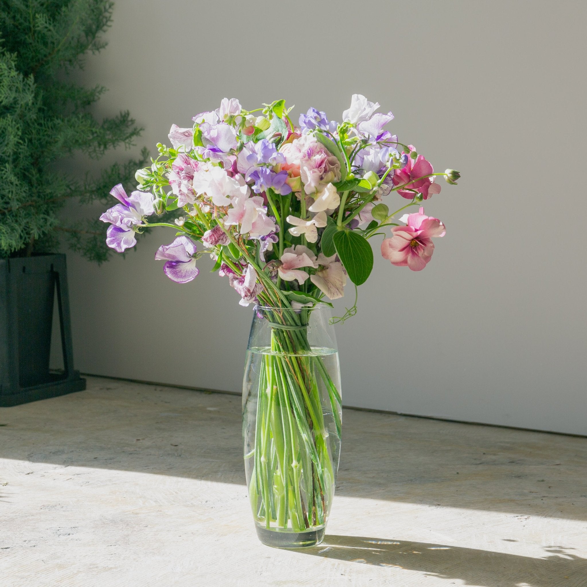 スイートピーのギフトをオーダーするならFlower&Plants tette │ 「手から手へ、想いを運ぶフラワーショップ」【板橋駅徒歩4分】【熟練フローリスト夫婦が運営】【最短2営業日で発送】【24時間365日注文OK】【ギフトは3300円〜】フラワーギフトを手から手へ、想いを込めたブーケやアレンジメントで大切な人に感謝と愛情を。シーンや用途に合わせて選びやすい豊富な種