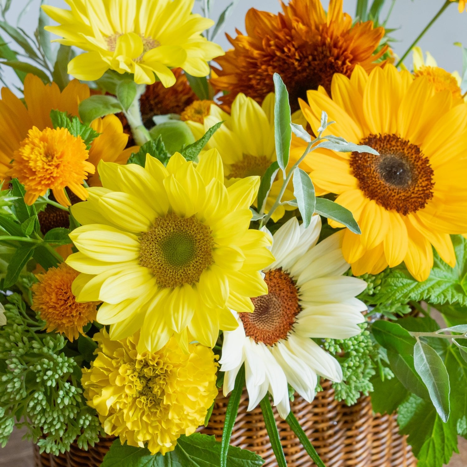 ひまわりのギフトをオーダーするならFlower&Plants tette │ 「手から手へ、想いを運ぶフラワーショップ」【板橋駅徒歩4分】【熟練フローリスト夫婦が運営】【最短2営業日で発送】【24時間365日注文OK】【ギフトは3300円〜】フラワーギフトを手から手へ、想いを込めたブーケやアレンジメントで大切な人に感謝と愛情を。シーンや用途に合わせて選びやすい豊富な種