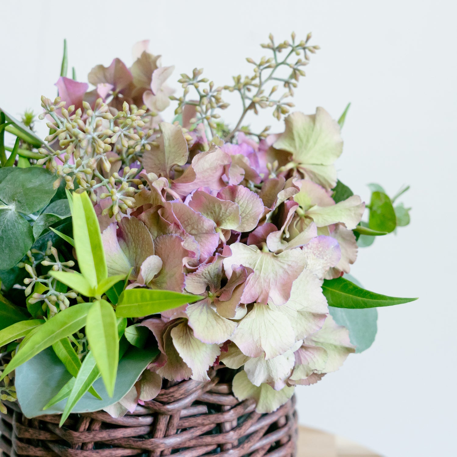 アジサイのギフトをオーダーするならFlower&Plants tette │ 「手から手へ、想いを運ぶフラワーショップ」【板橋駅徒歩4分】【熟練フローリスト夫婦が運営】【最短2営業日で発送】【24時間365日注文OK】【ギフトは3300円〜】フラワーギフトを手から手へ、想いを込めたブーケやアレンジメントで大切な人に感謝と愛情を。シーンや用途に合わせて選びやすい豊富な種